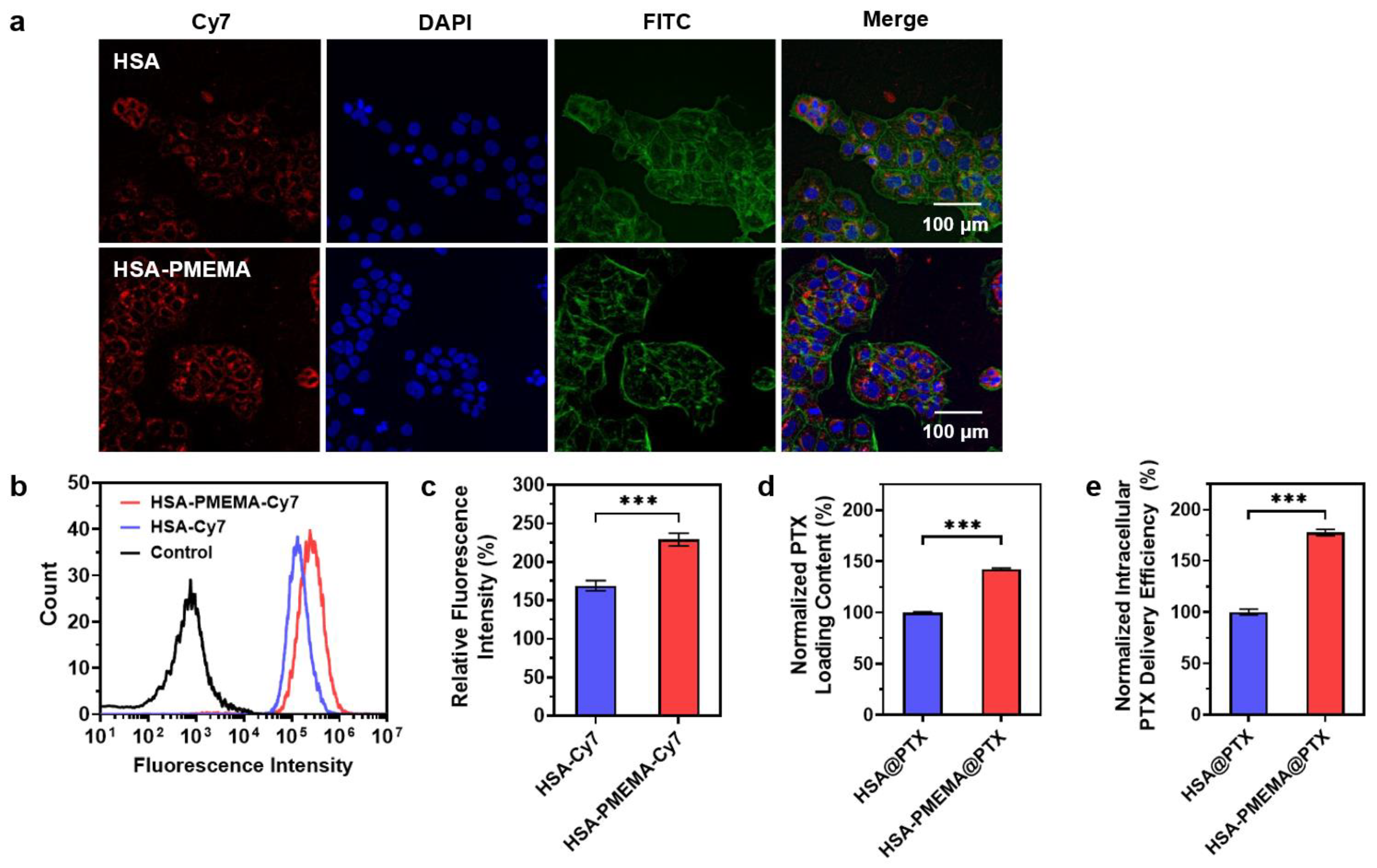 Pharmaceutics 17 00316 g006