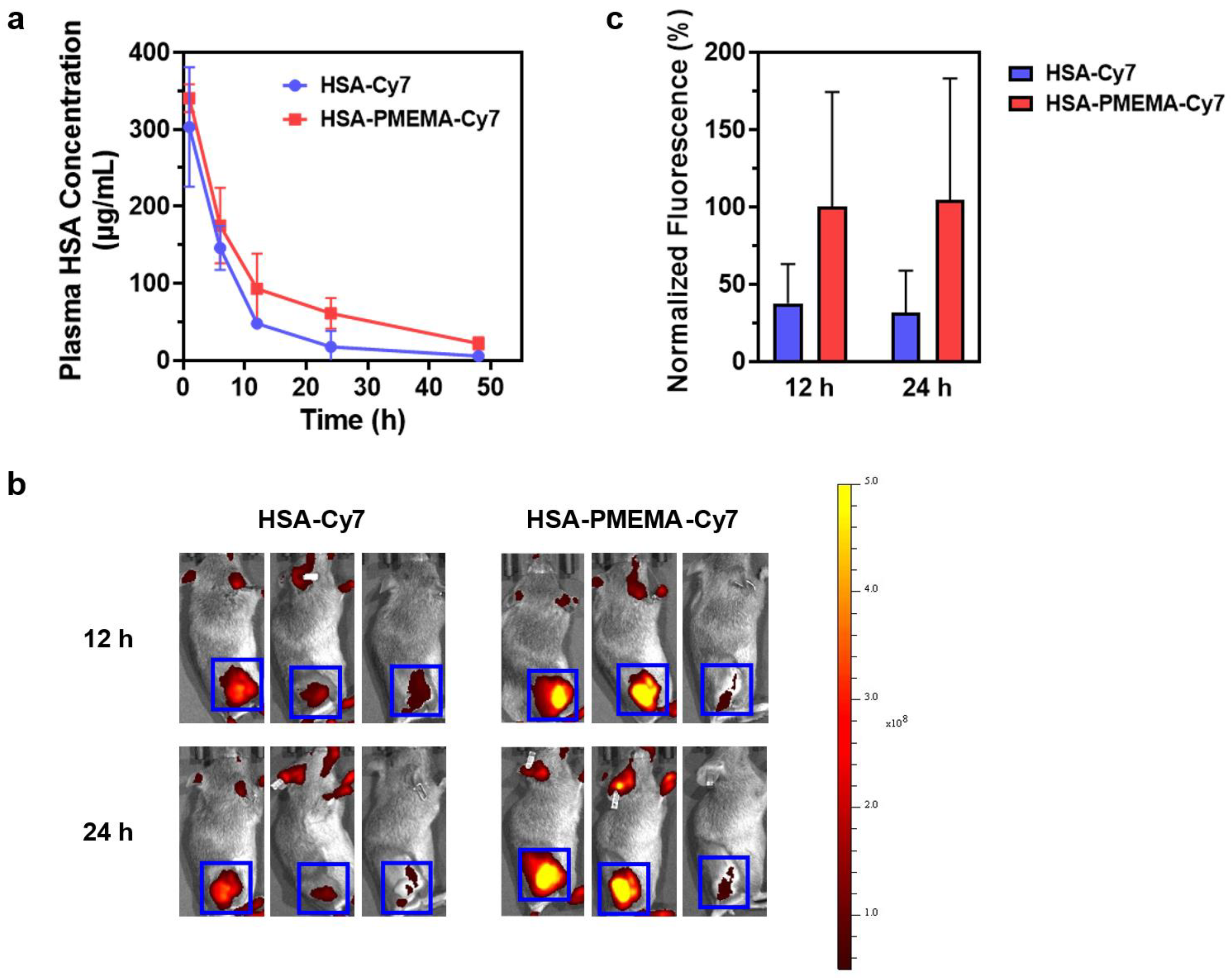Pharmaceutics 17 00316 g008