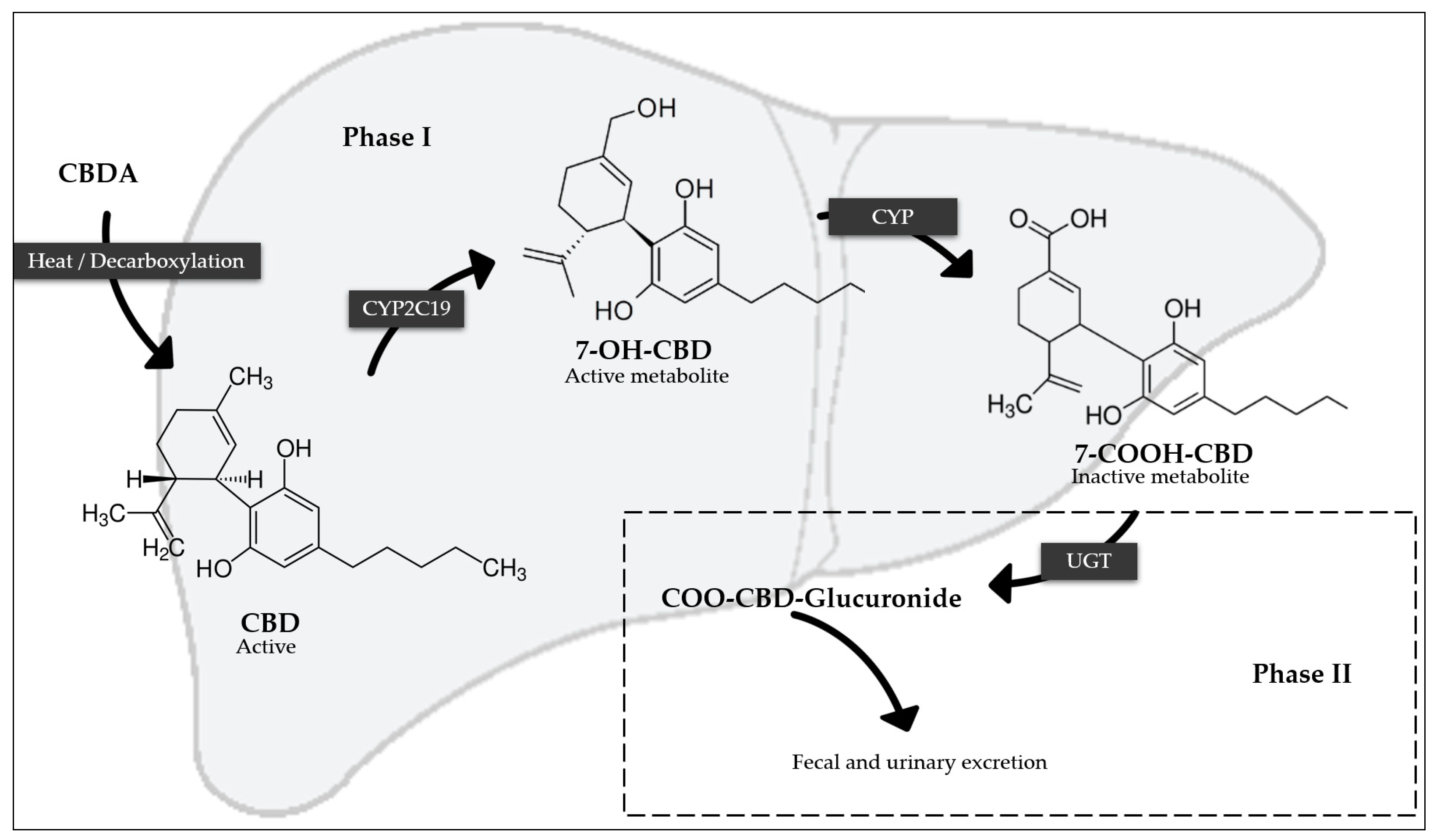 Pharmaceutics 17 00319 g002