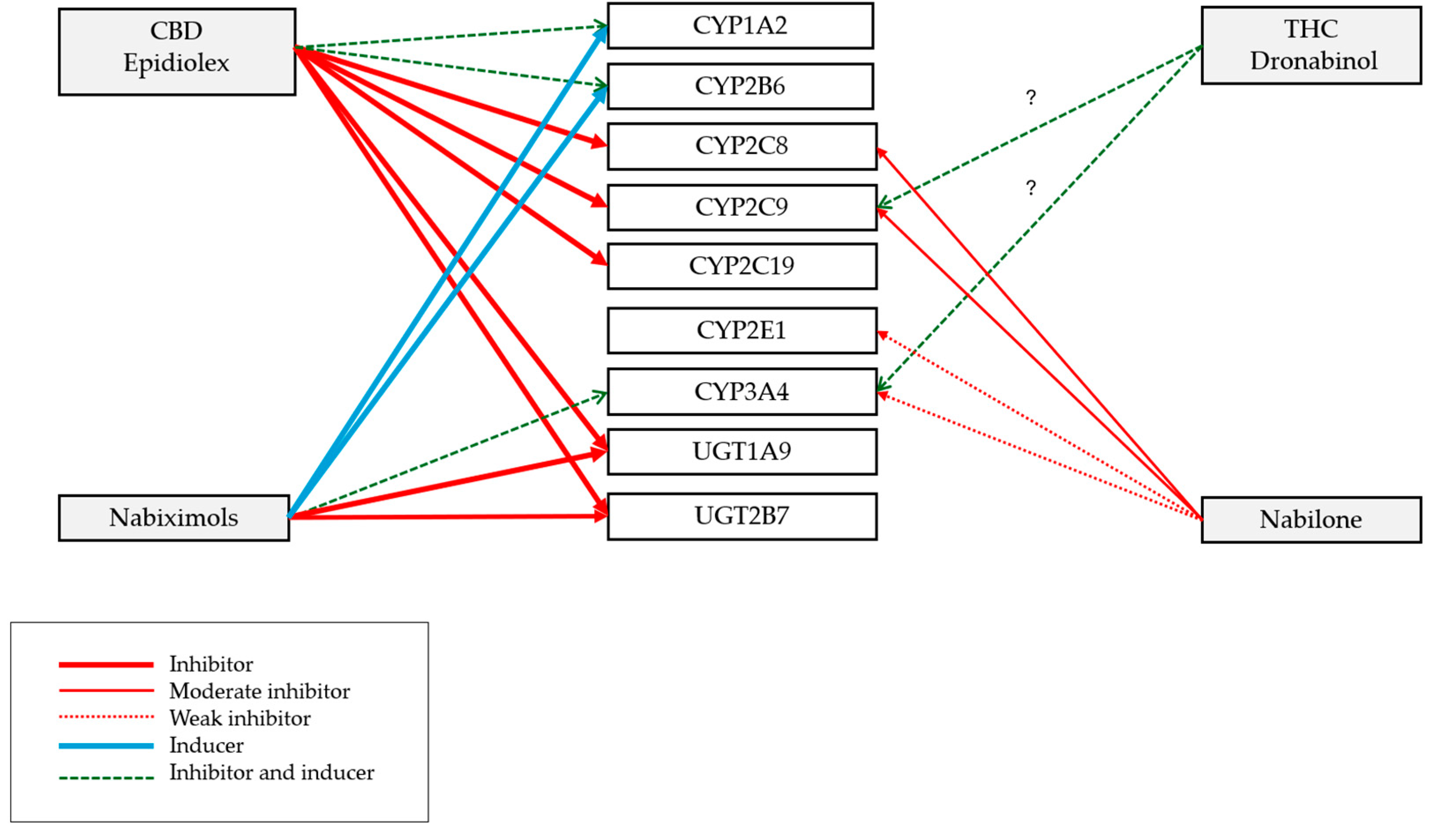 Pharmaceutics 17 00319 g003