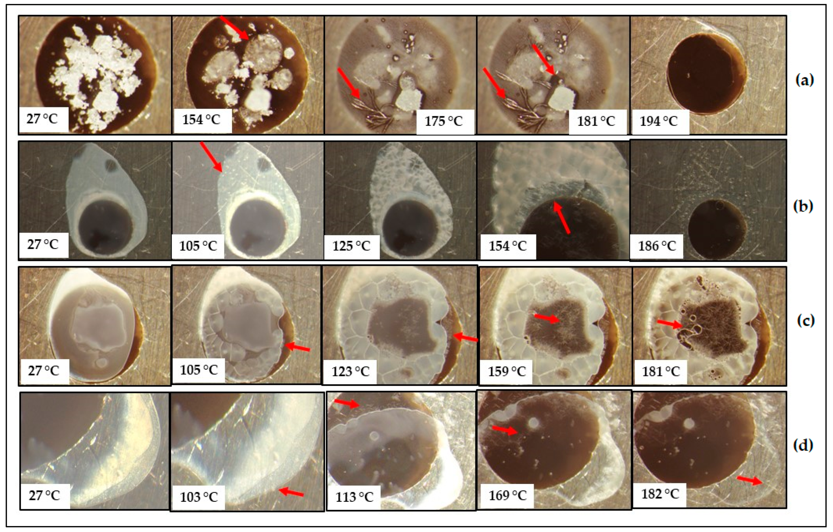 Pharmaceutics 17 00321 g003