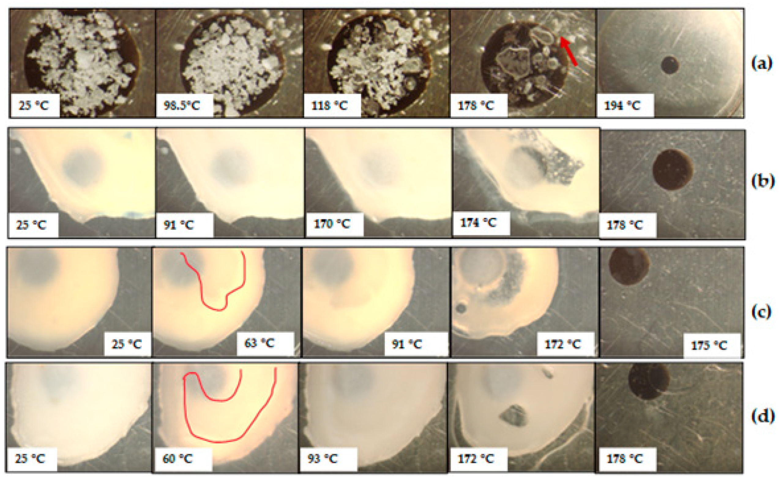 Pharmaceutics 17 00321 g008