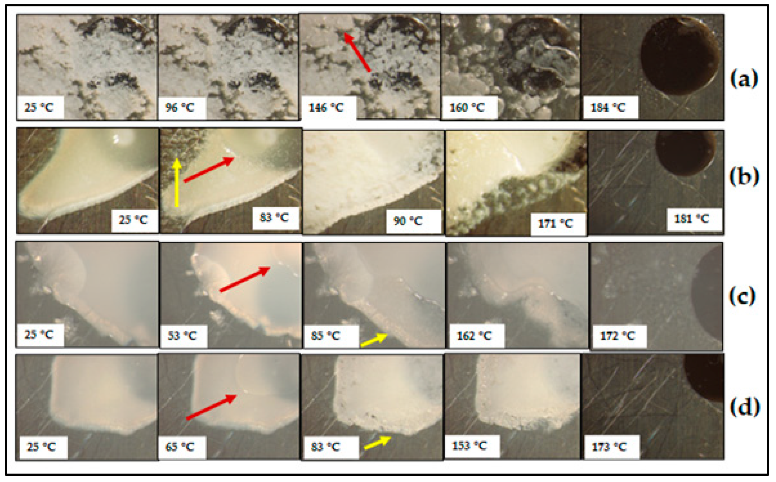 Pharmaceutics 17 00321 g012