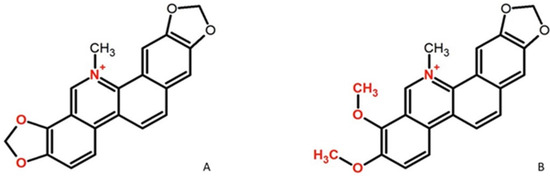 Sanguinarine–Chelerythrine from Coptis chinensis Offers