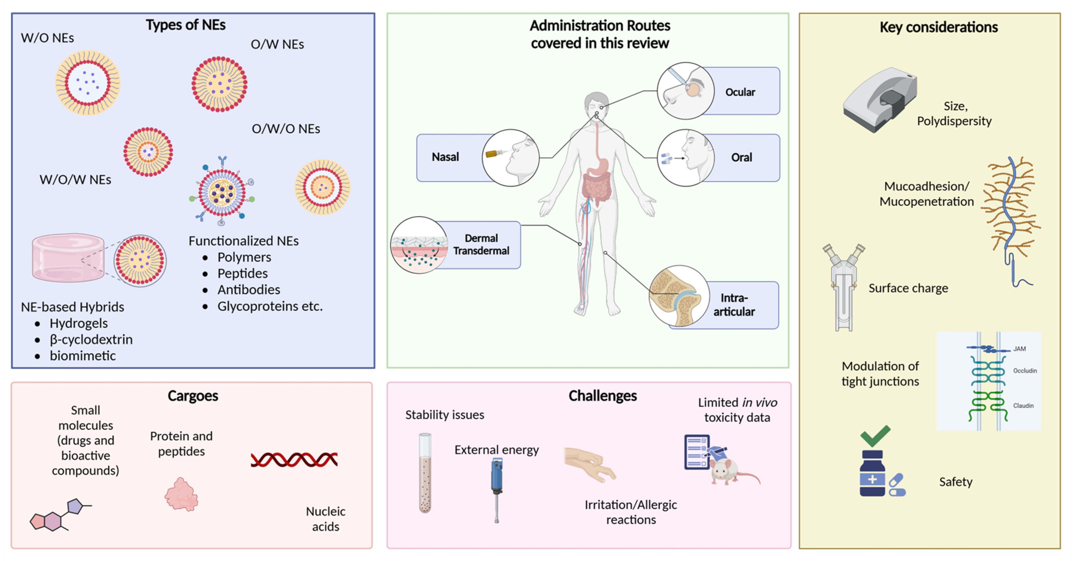 Pharmaceutics 17 00337 g001