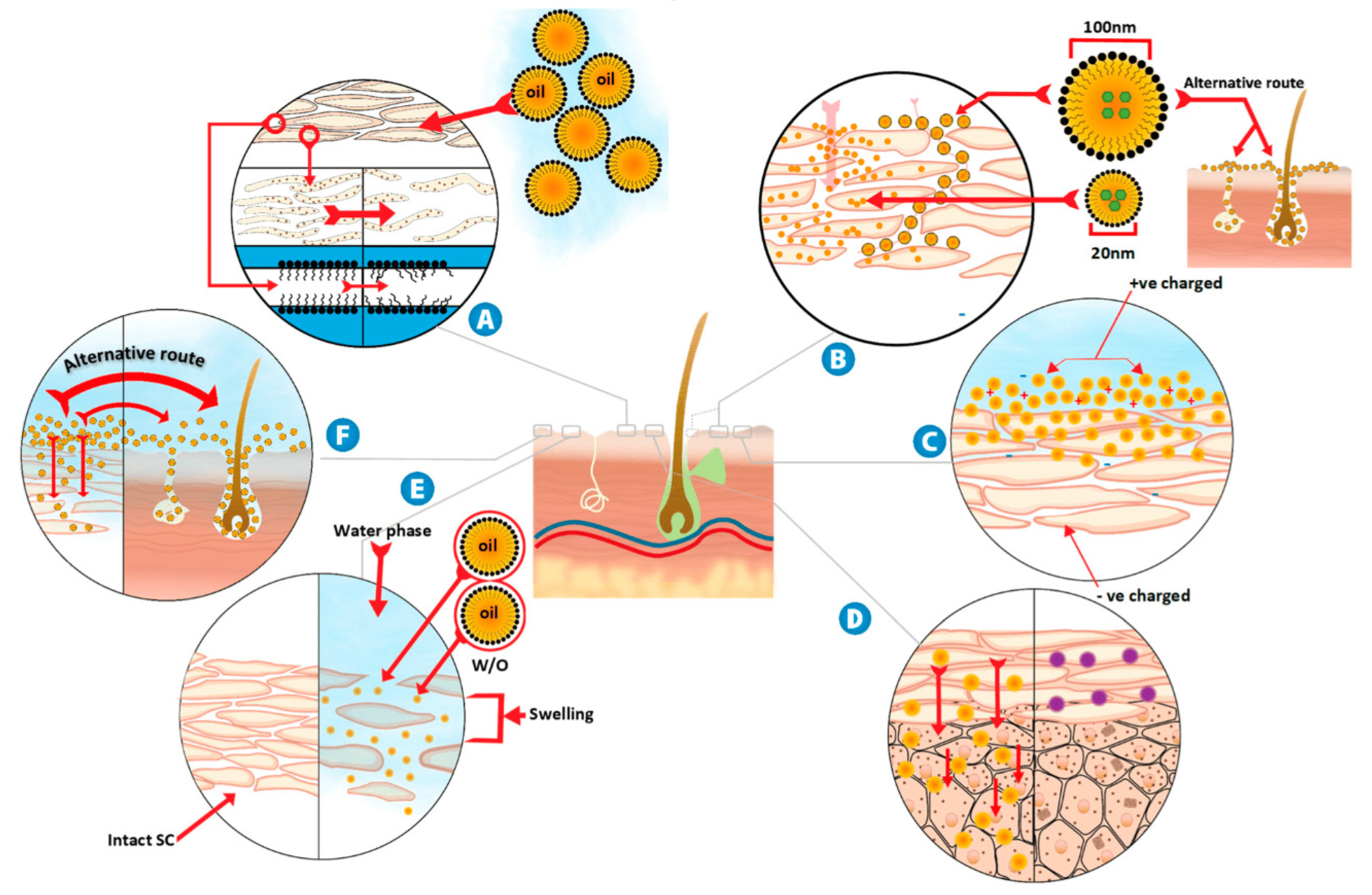 Pharmaceutics 17 00337 g002