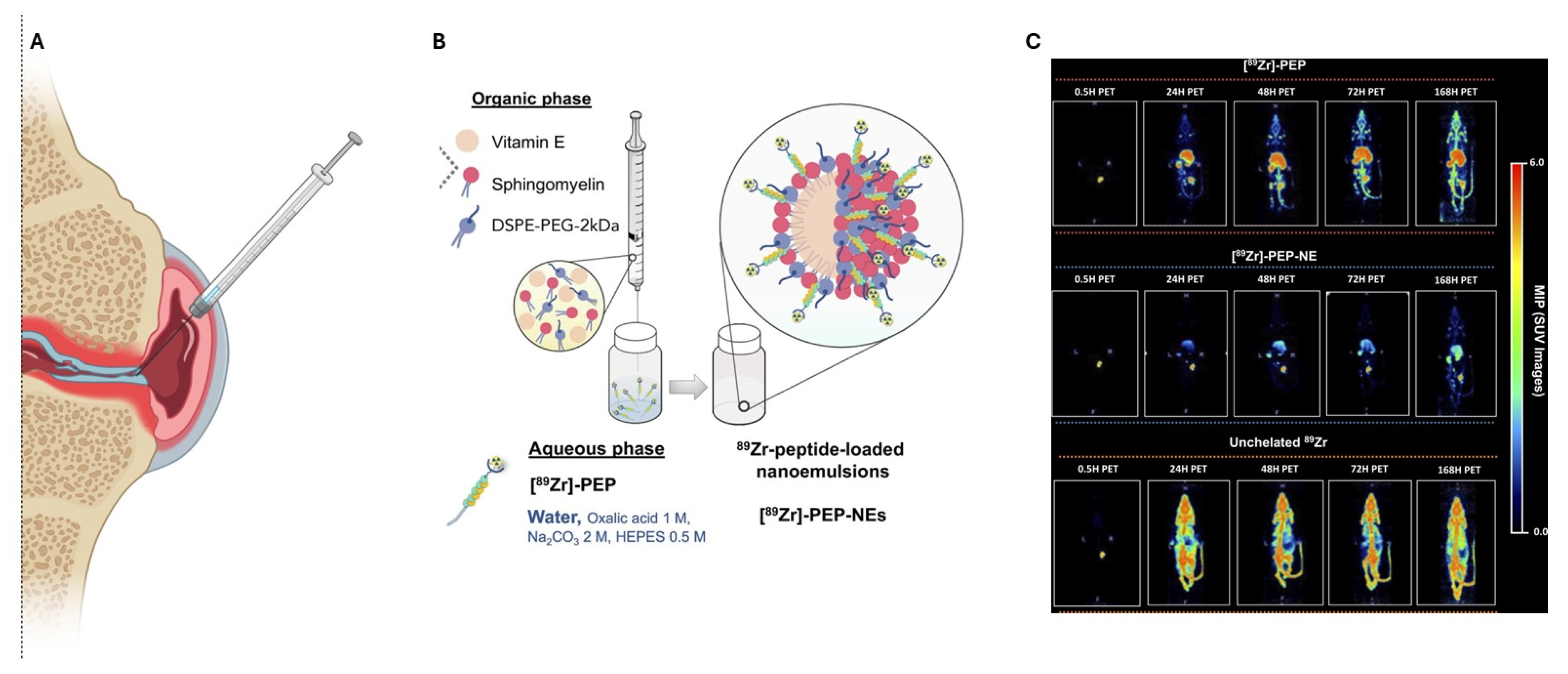 Pharmaceutics 17 00337 g006