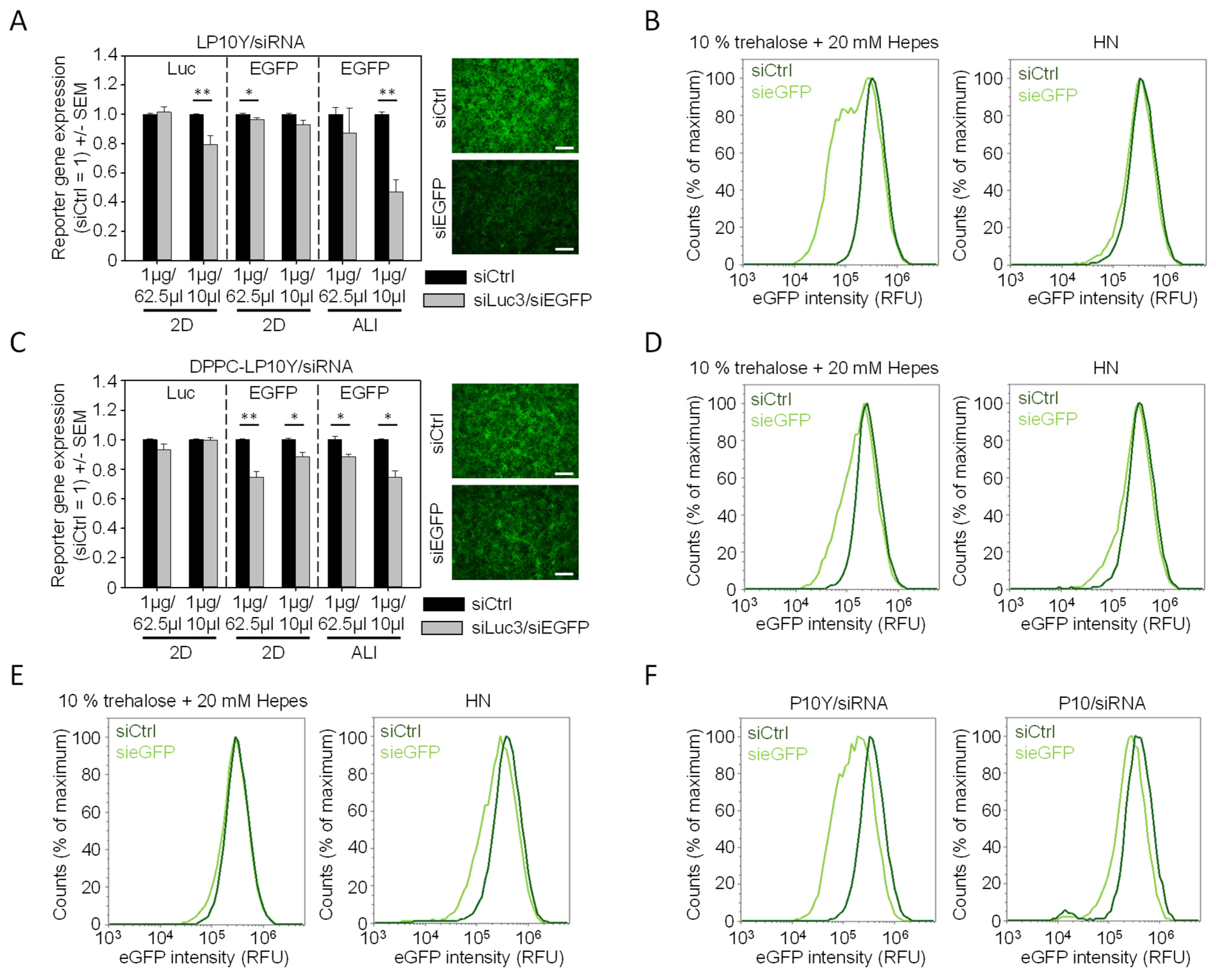 Pharmaceutics 17 00339 g003 Pharmaceutics 17 00339 g003