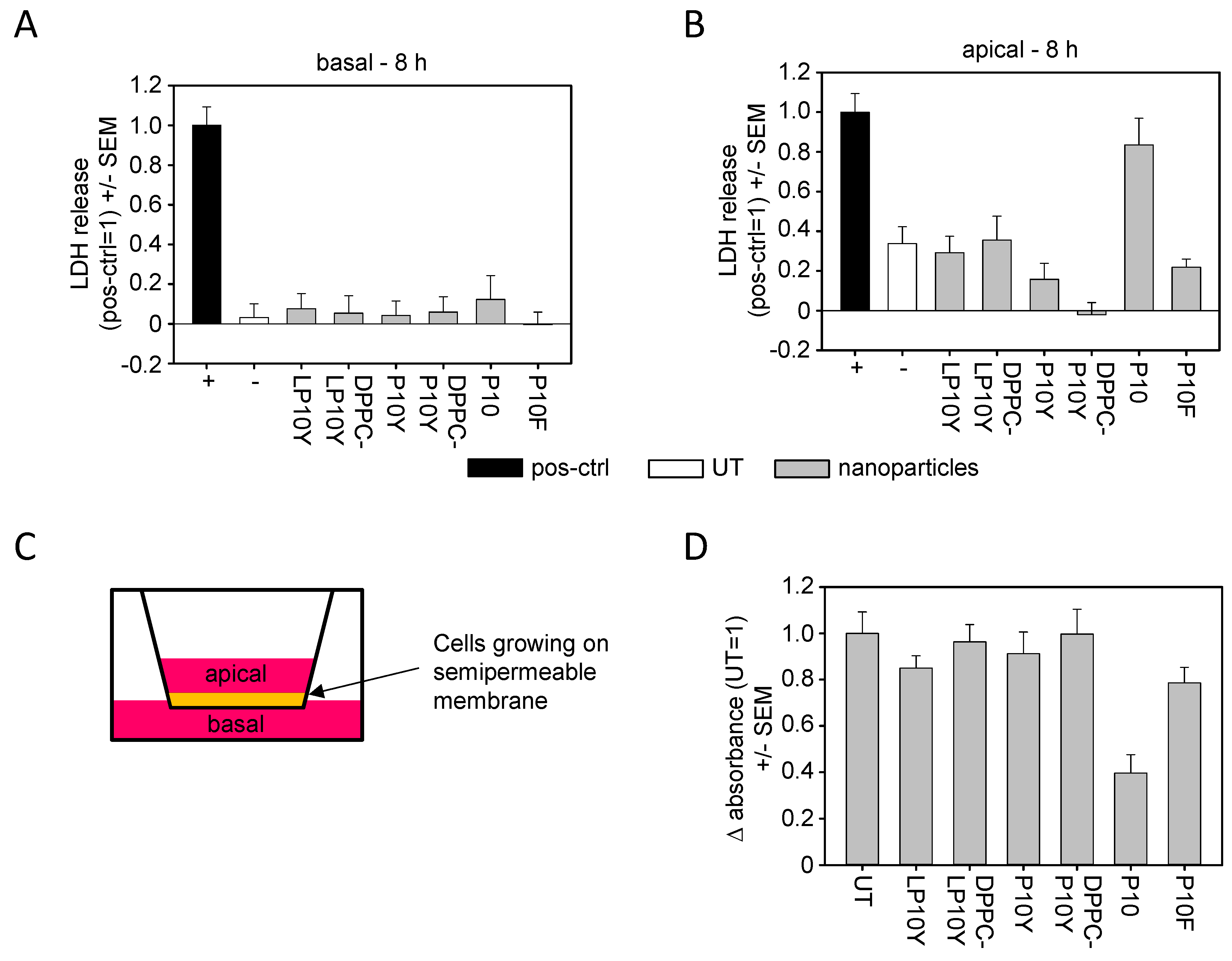 Pharmaceutics 17 00339 g005 Pharmaceutics 17 00339 g005