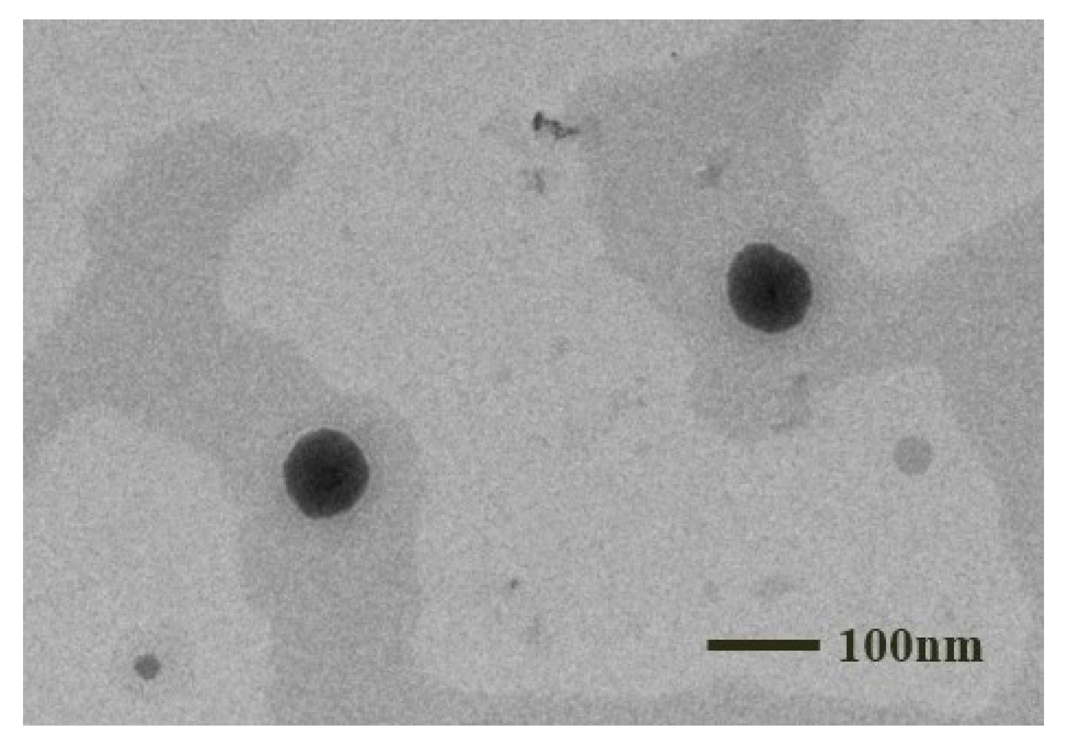 Pharmaceutics 17 00340 g006