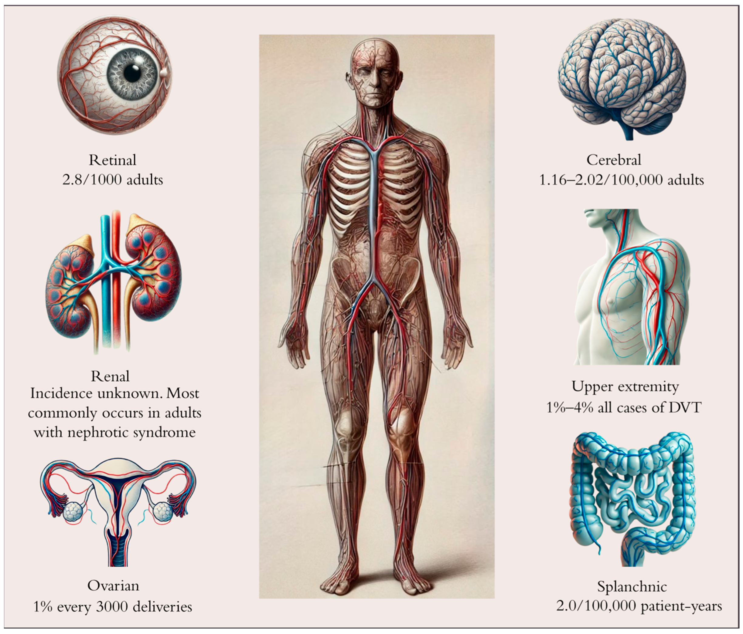 Pharmaceutics 17 00342 g001
