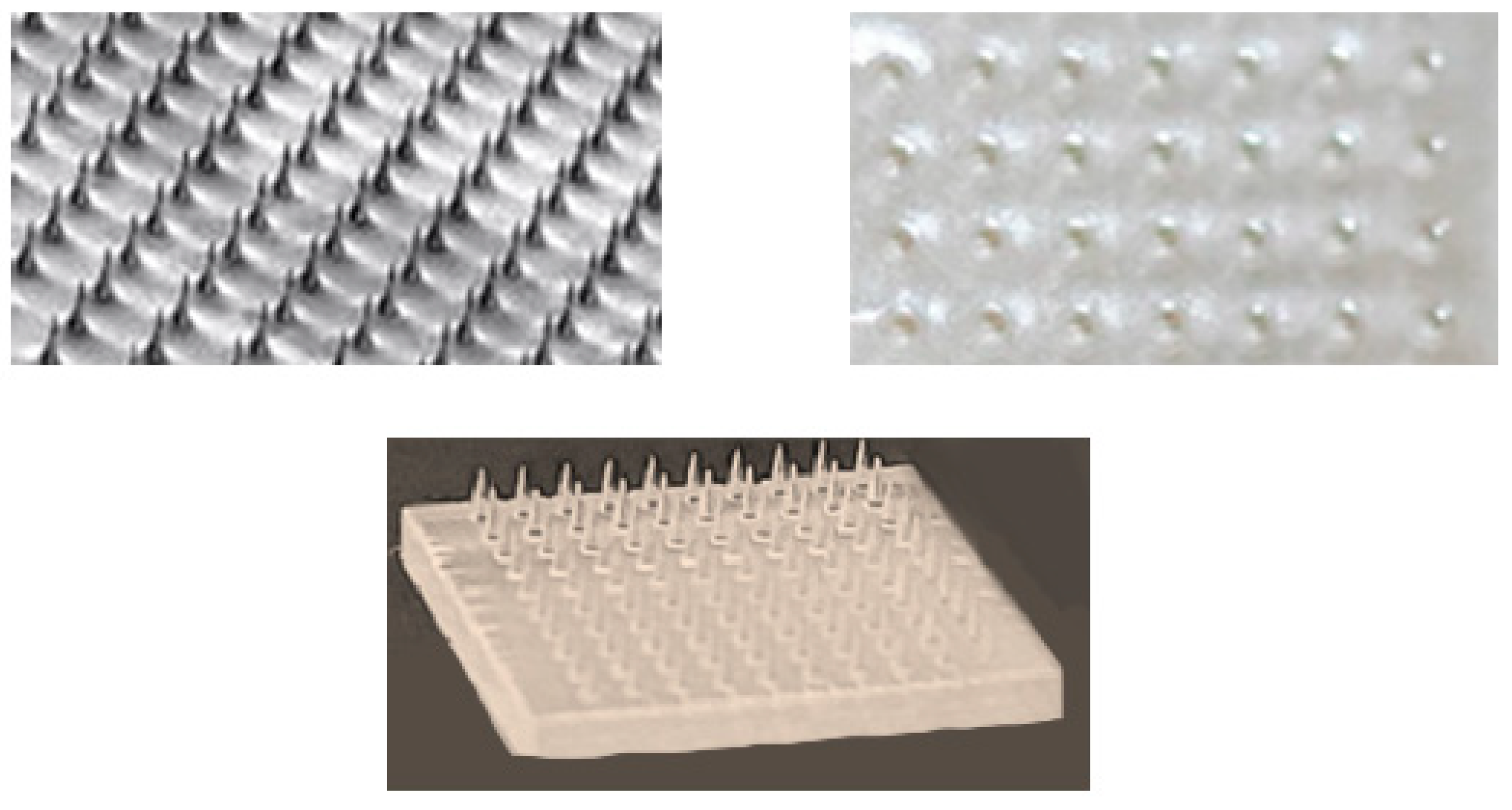 Pharmaceutics 17 00352 g006