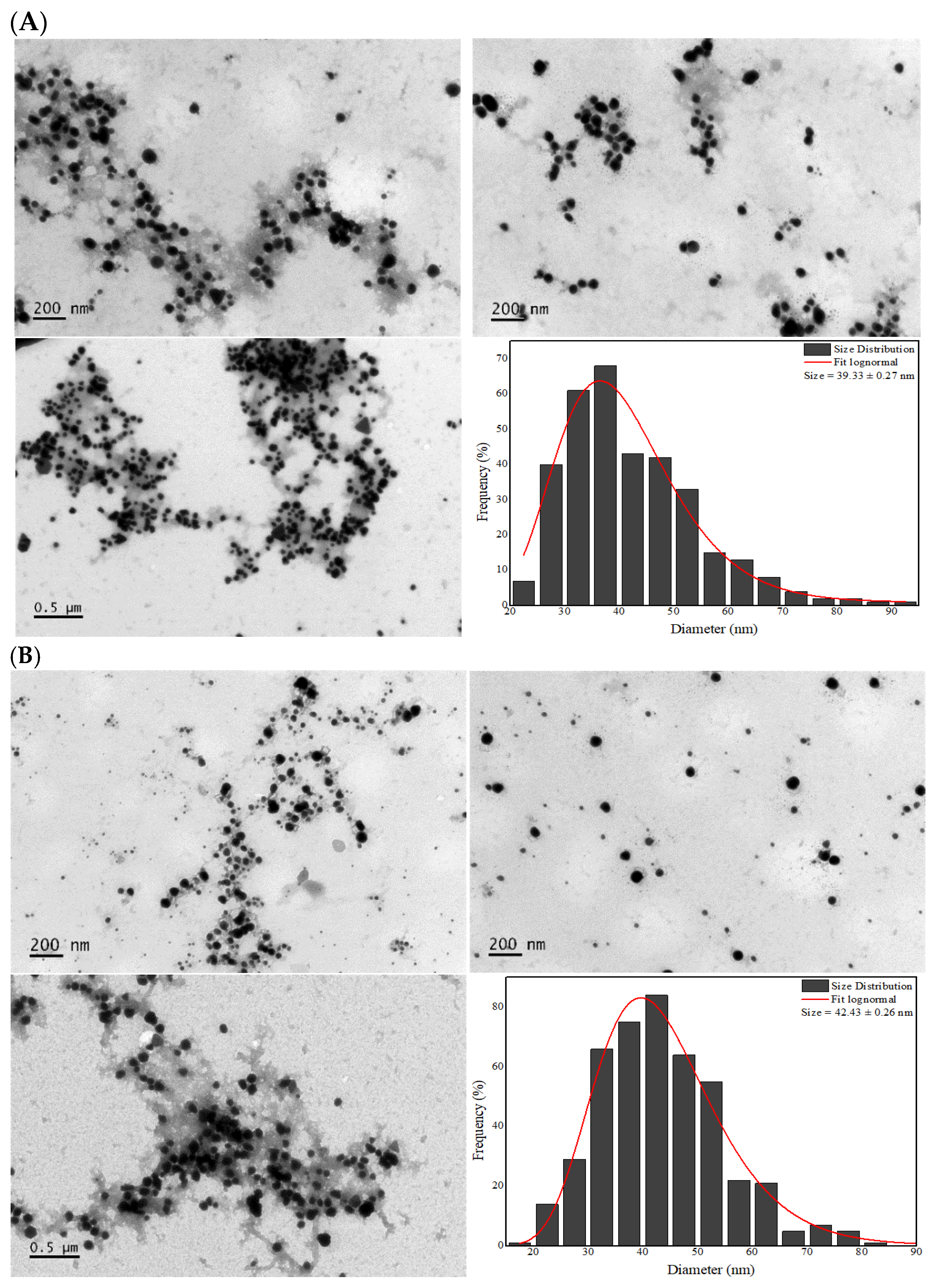 Pharmaceutics 17 00356 g004