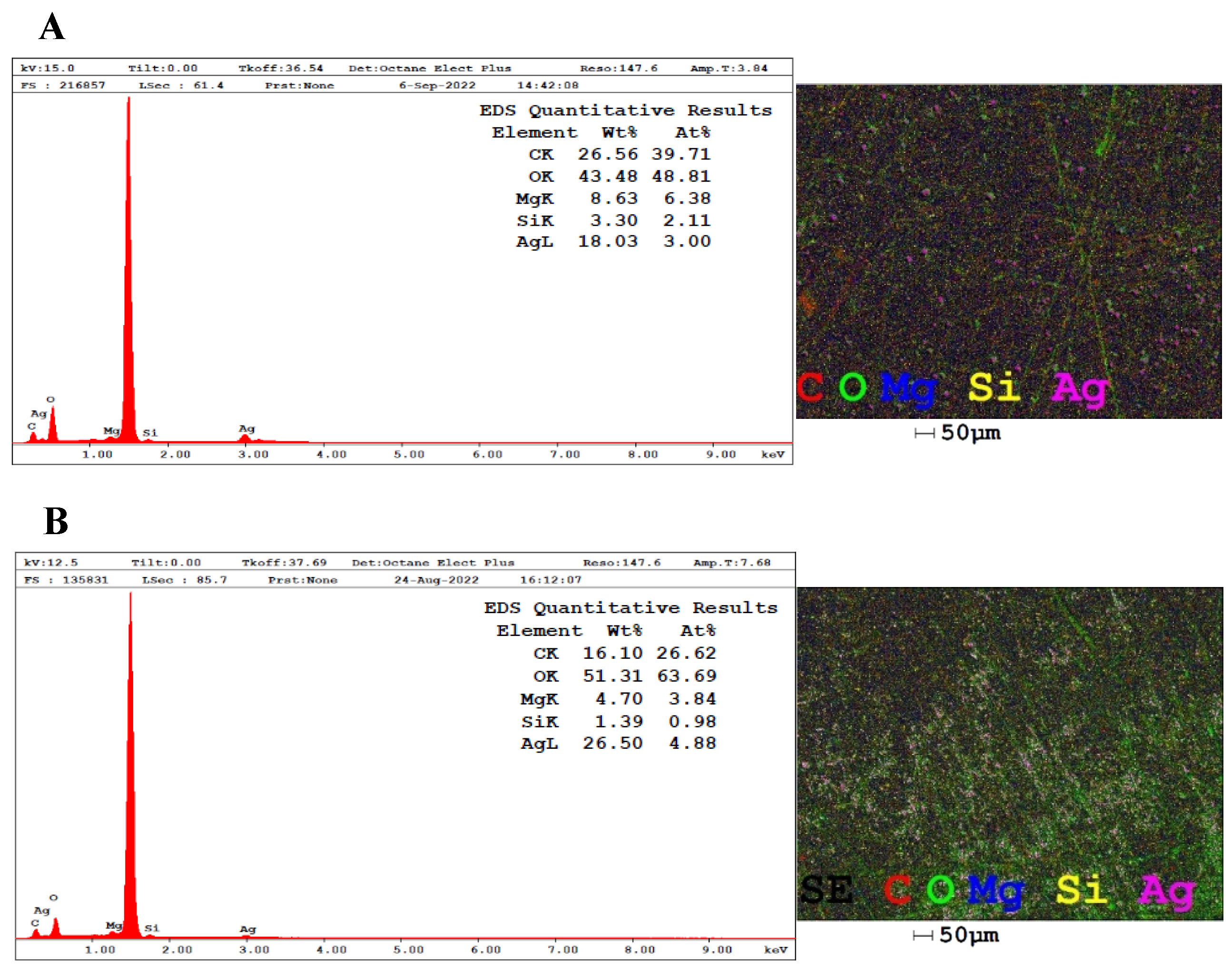 Pharmaceutics 17 00356 g005