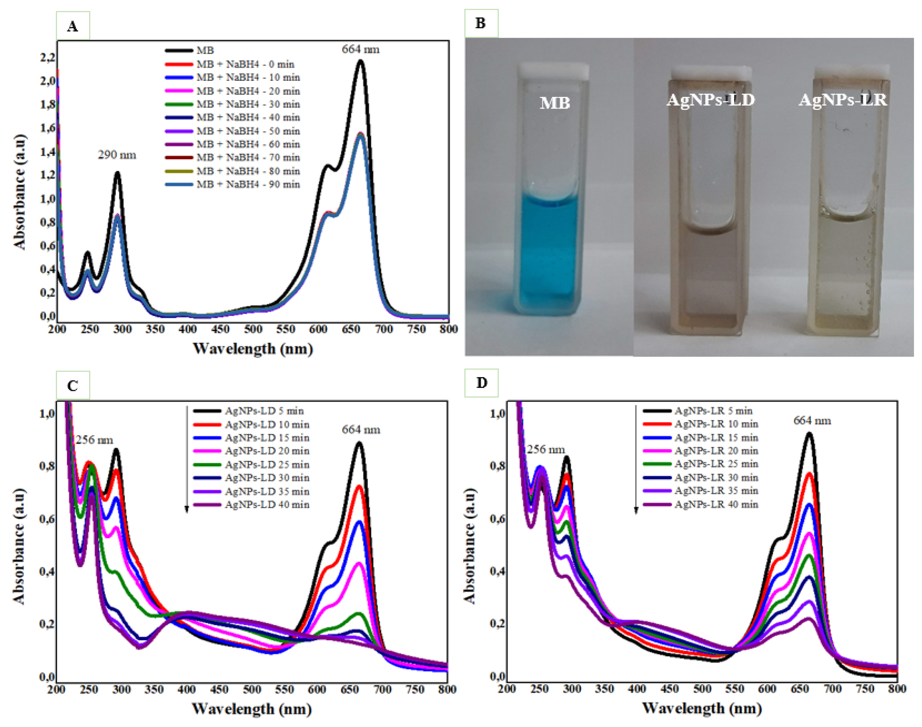 Pharmaceutics 17 00356 g009