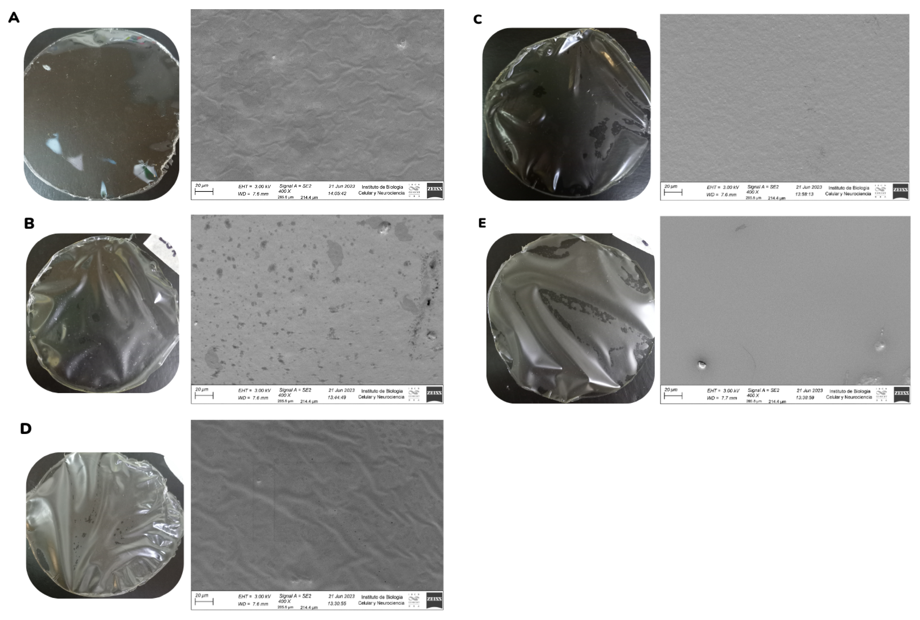 Pharmaceutics 17 00357 g002