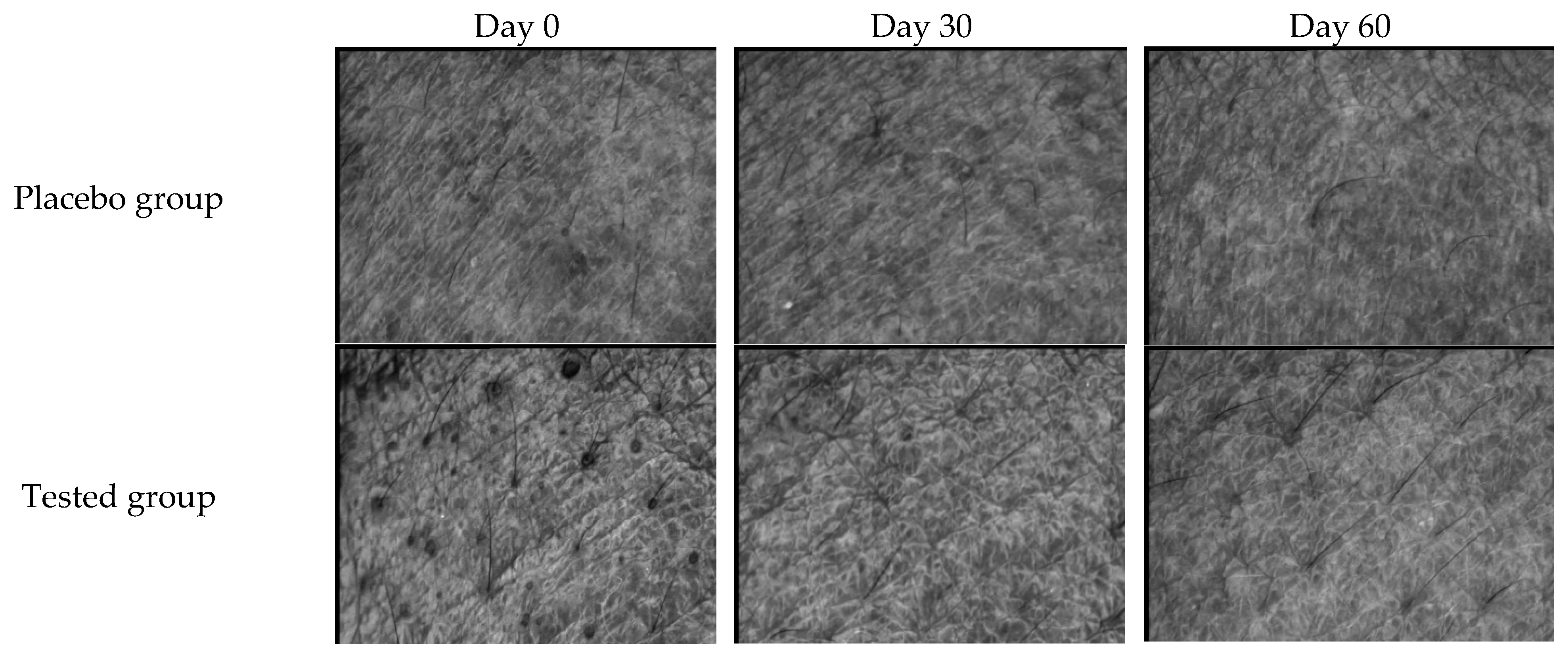 Pharmaceutics 17 00360 g008