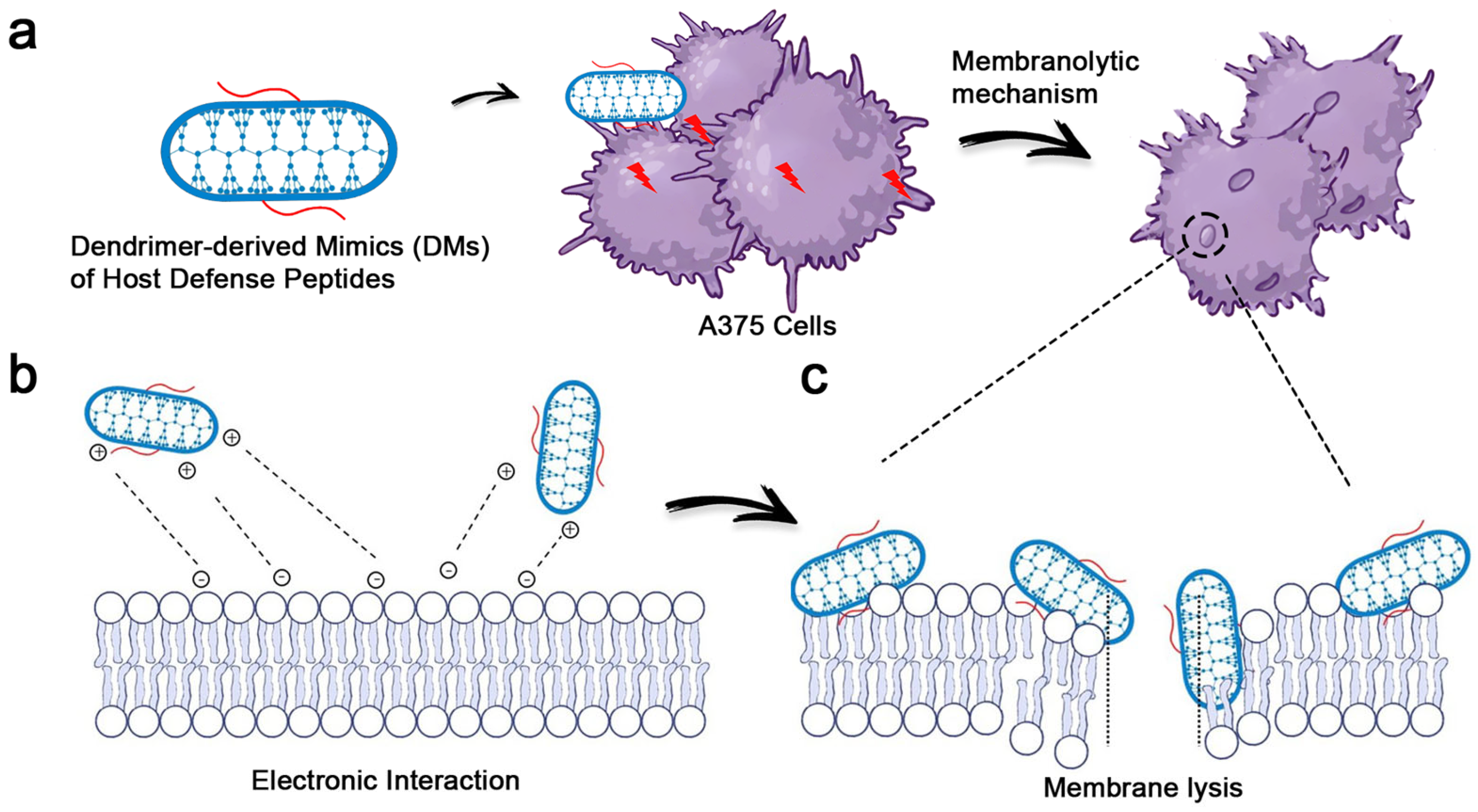 Pharmaceutics 17 00361 g001
