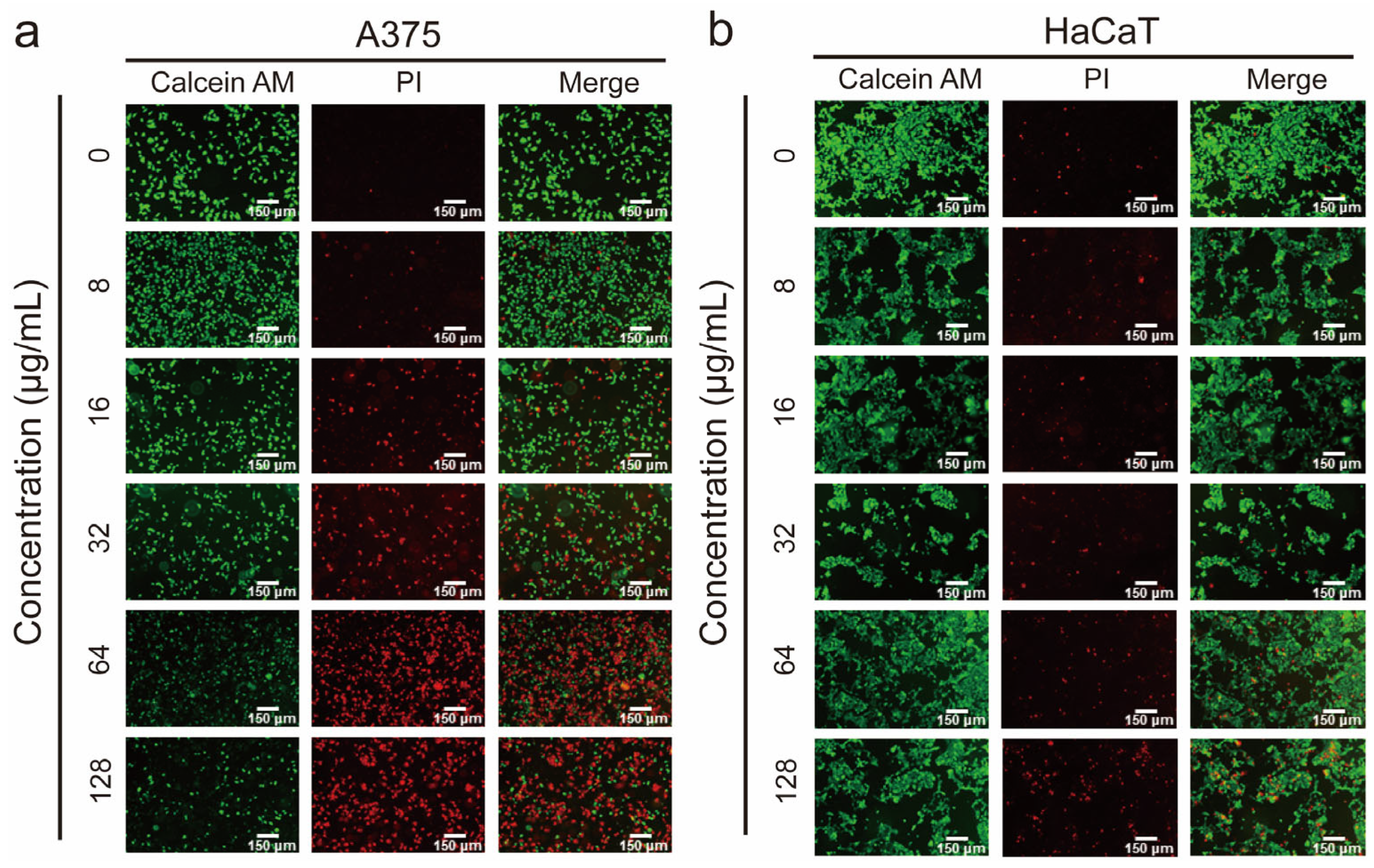 Pharmaceutics 17 00361 g003