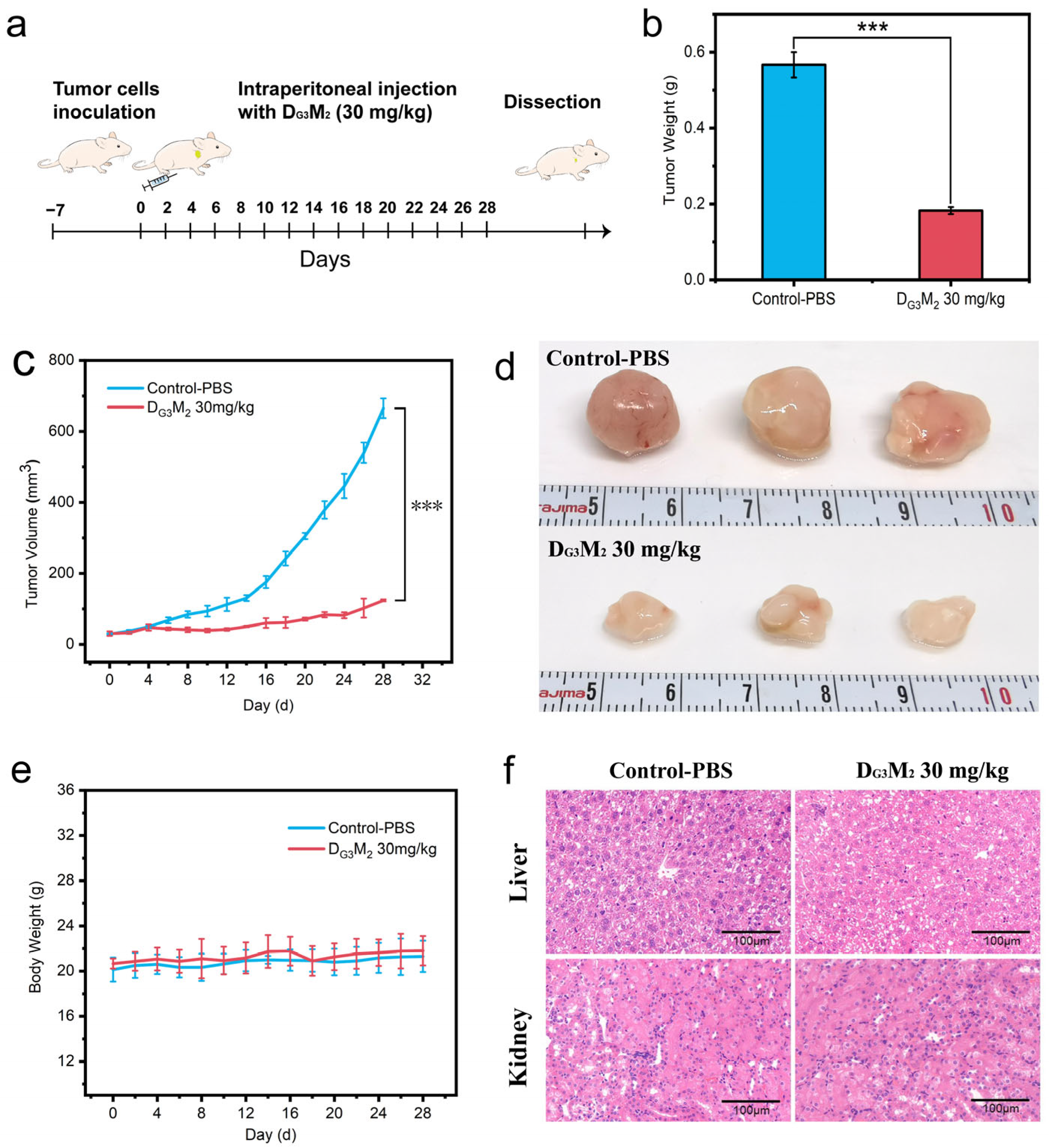 Pharmaceutics 17 00361 g005