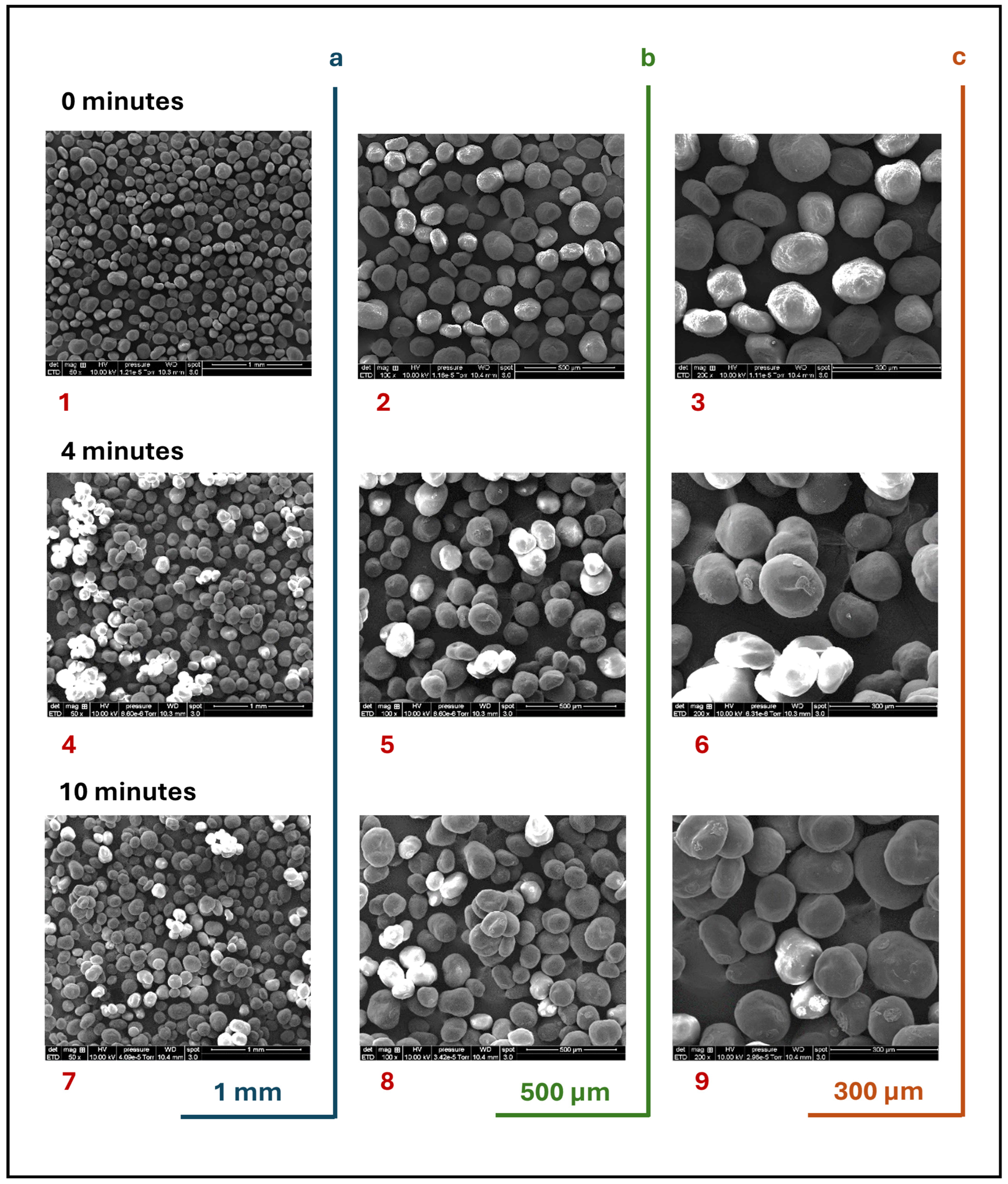 Pharmaceutics 17 00364 g001