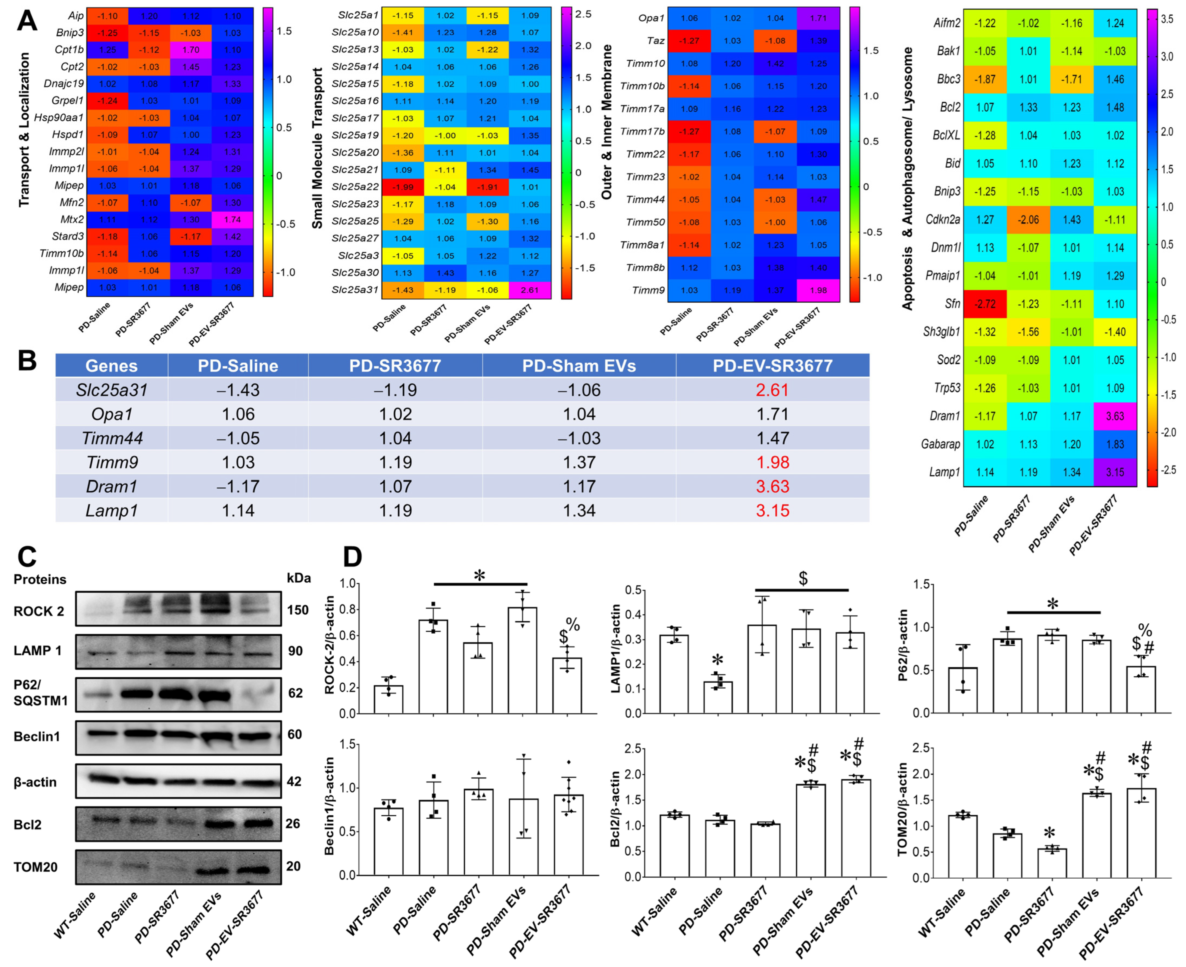 Pharmaceutics 17 00365 g001