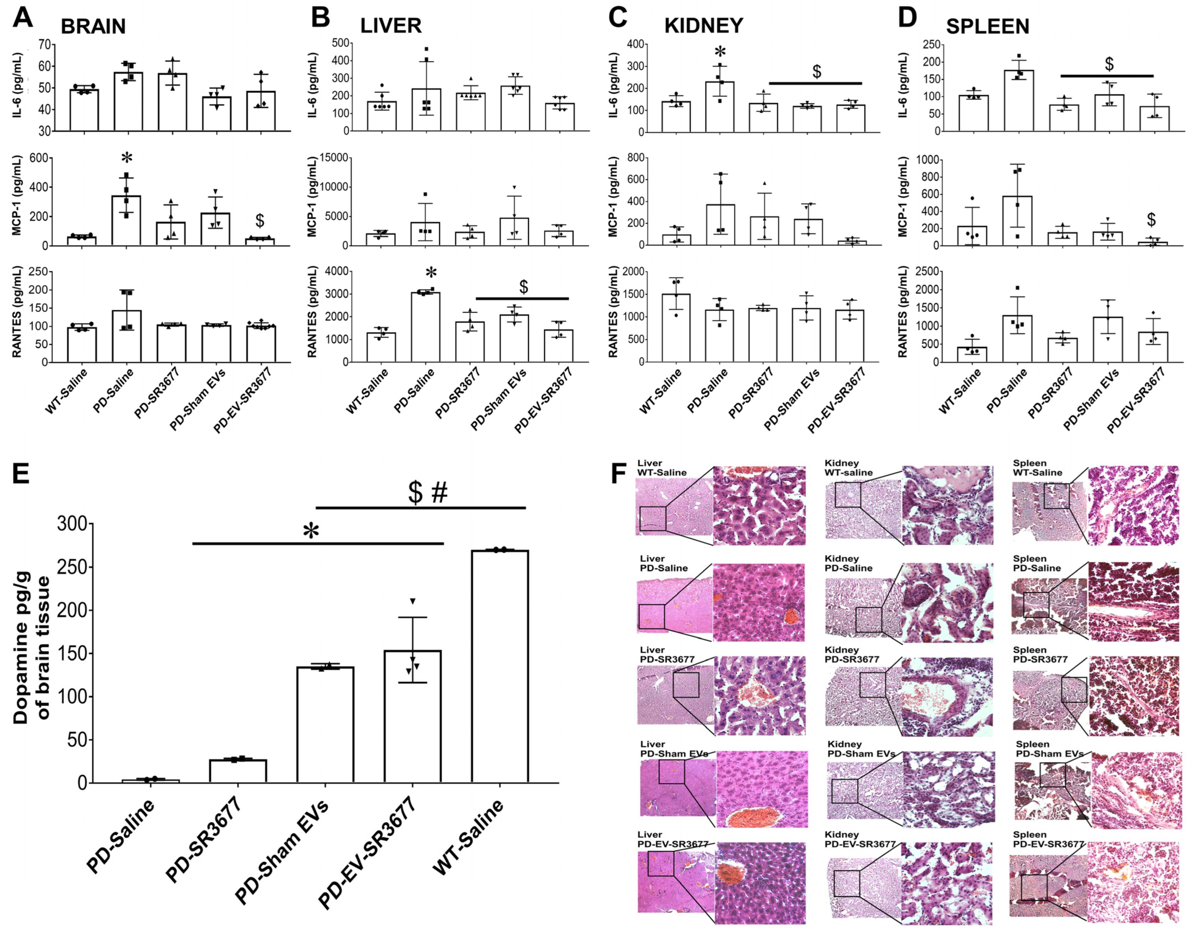 Pharmaceutics 17 00365 g002
