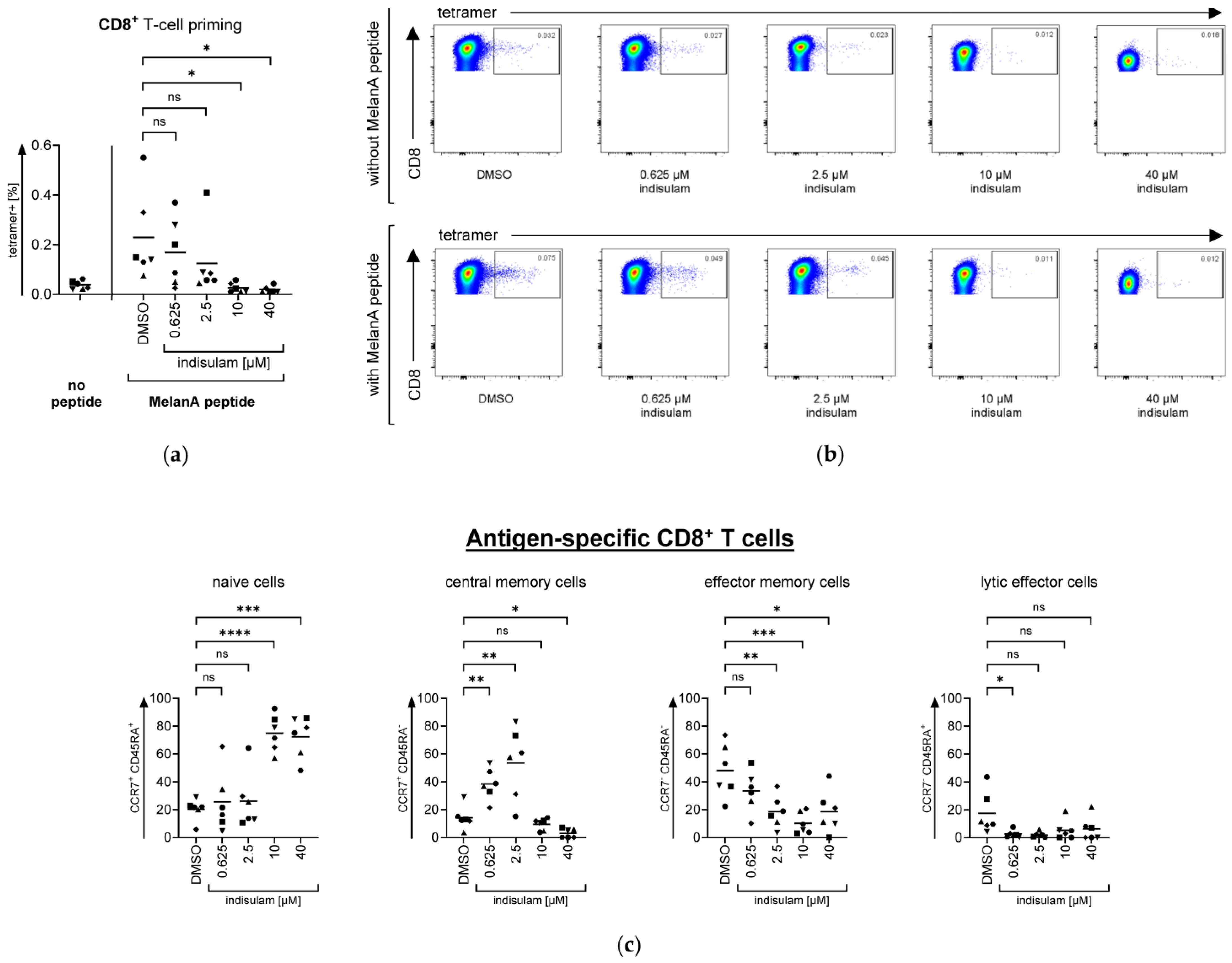 Pharmaceutics 17 00368 g010