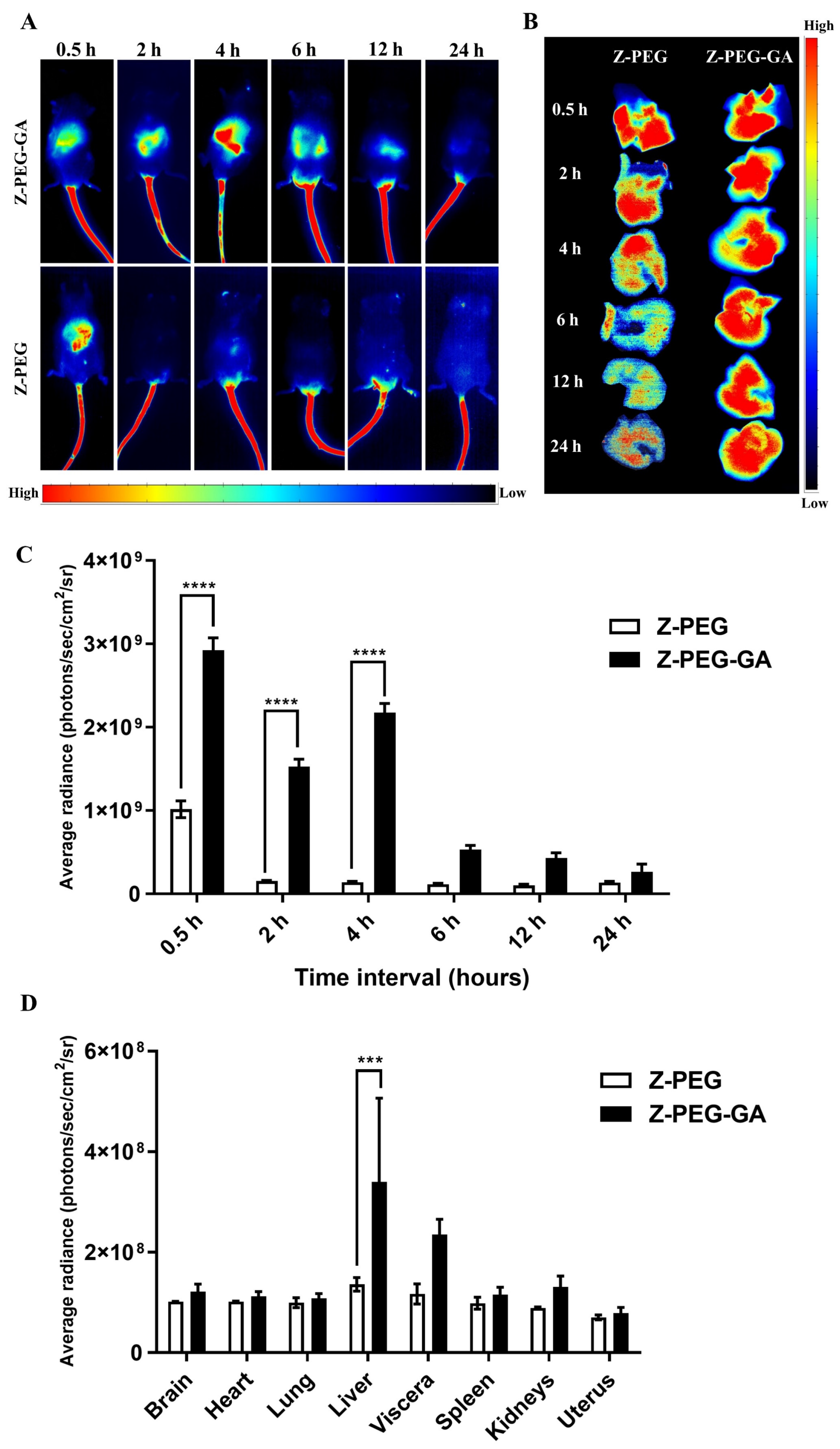 Pharmaceutics 17 00370 g009