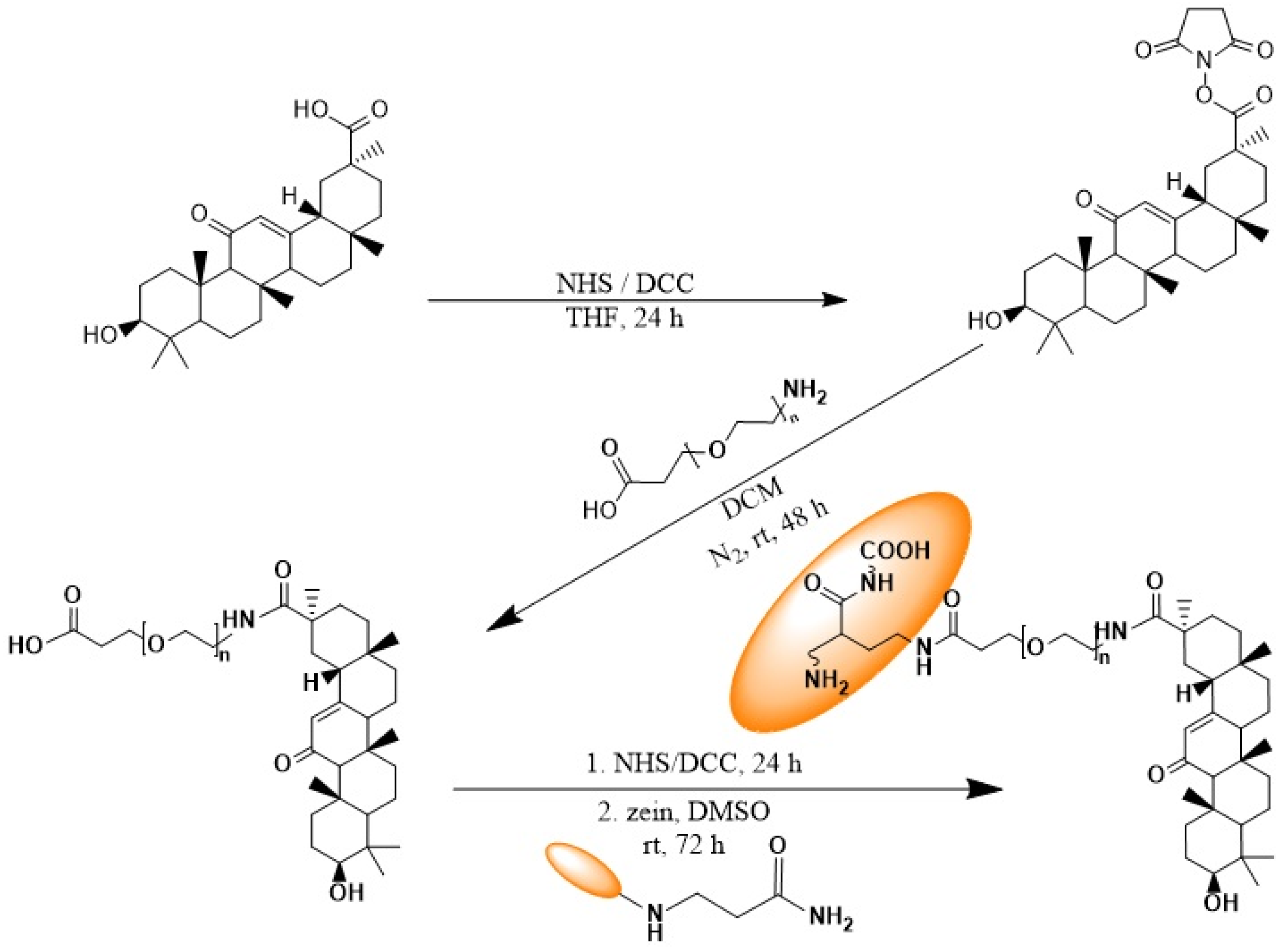 Pharmaceutics 17 00370 sch001