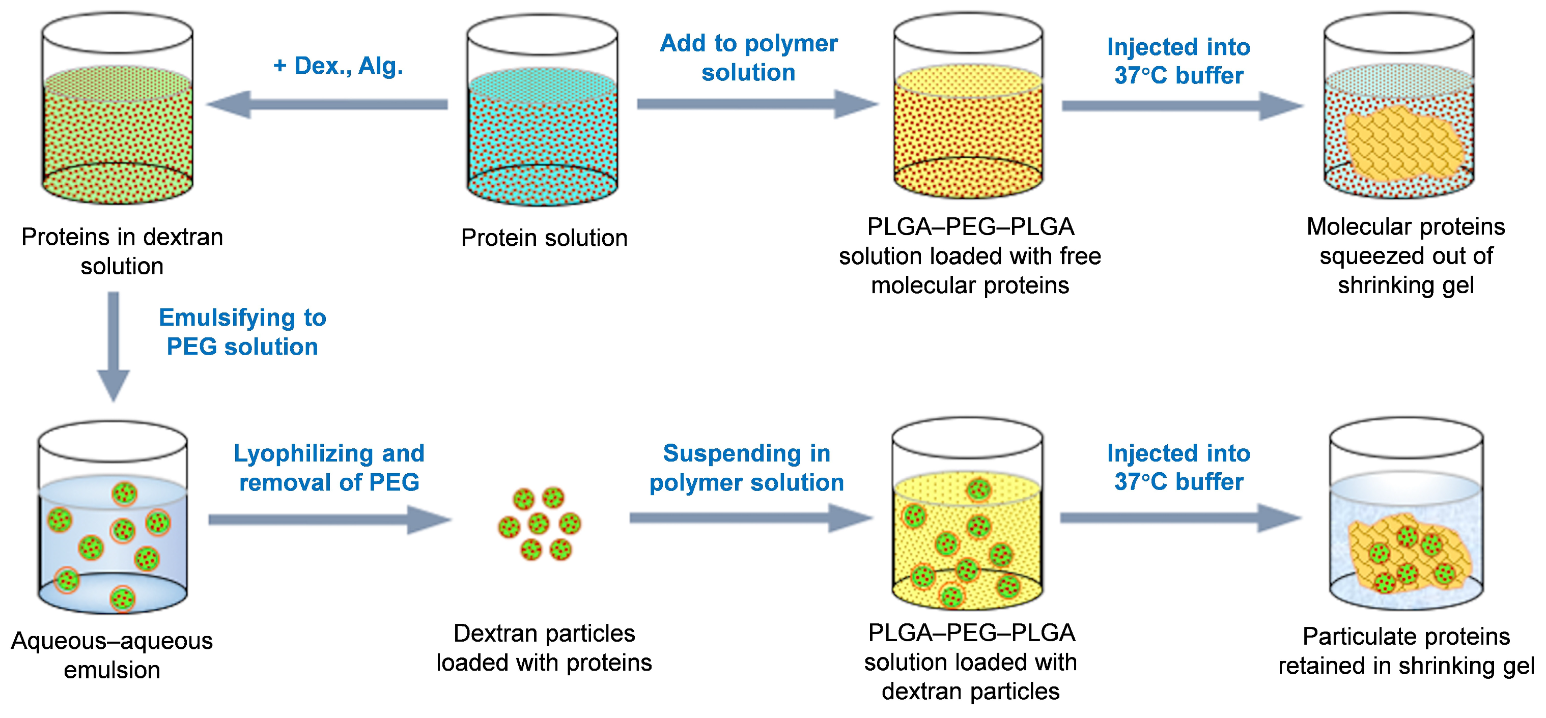 Pharmaceutics 17 00376 g001