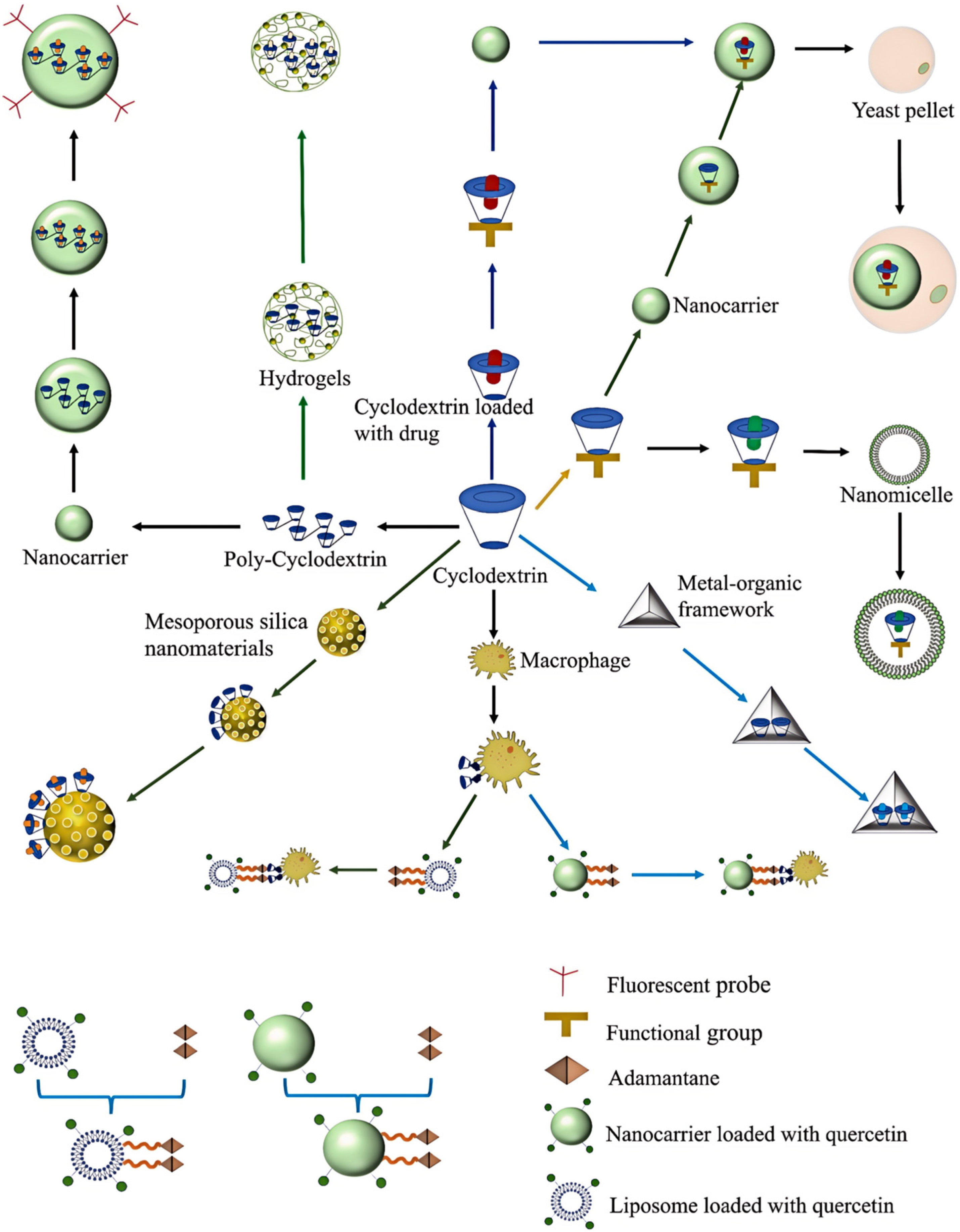 Pharmaceutics 17 00378 g002