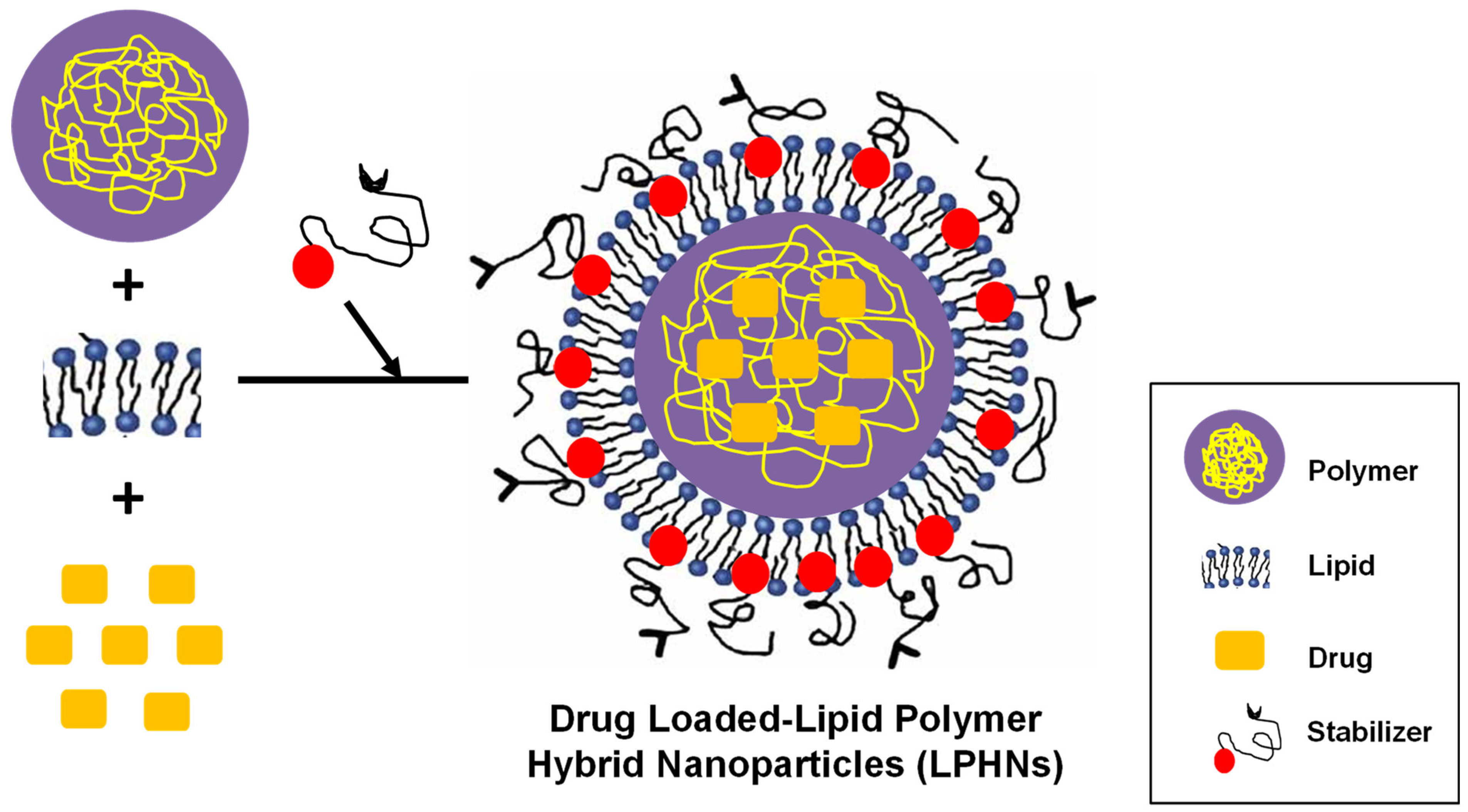 Pharmaceutics 17 00381 g001