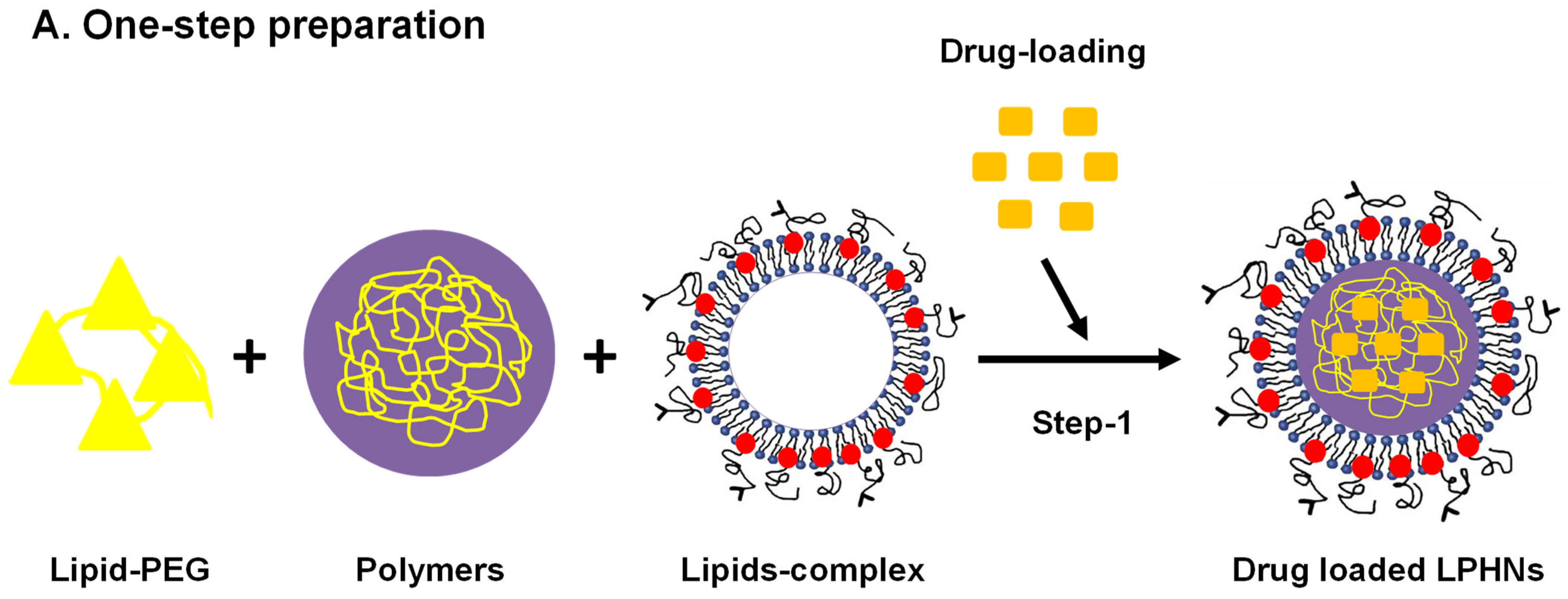 Pharmaceutics 17 00381 g002a