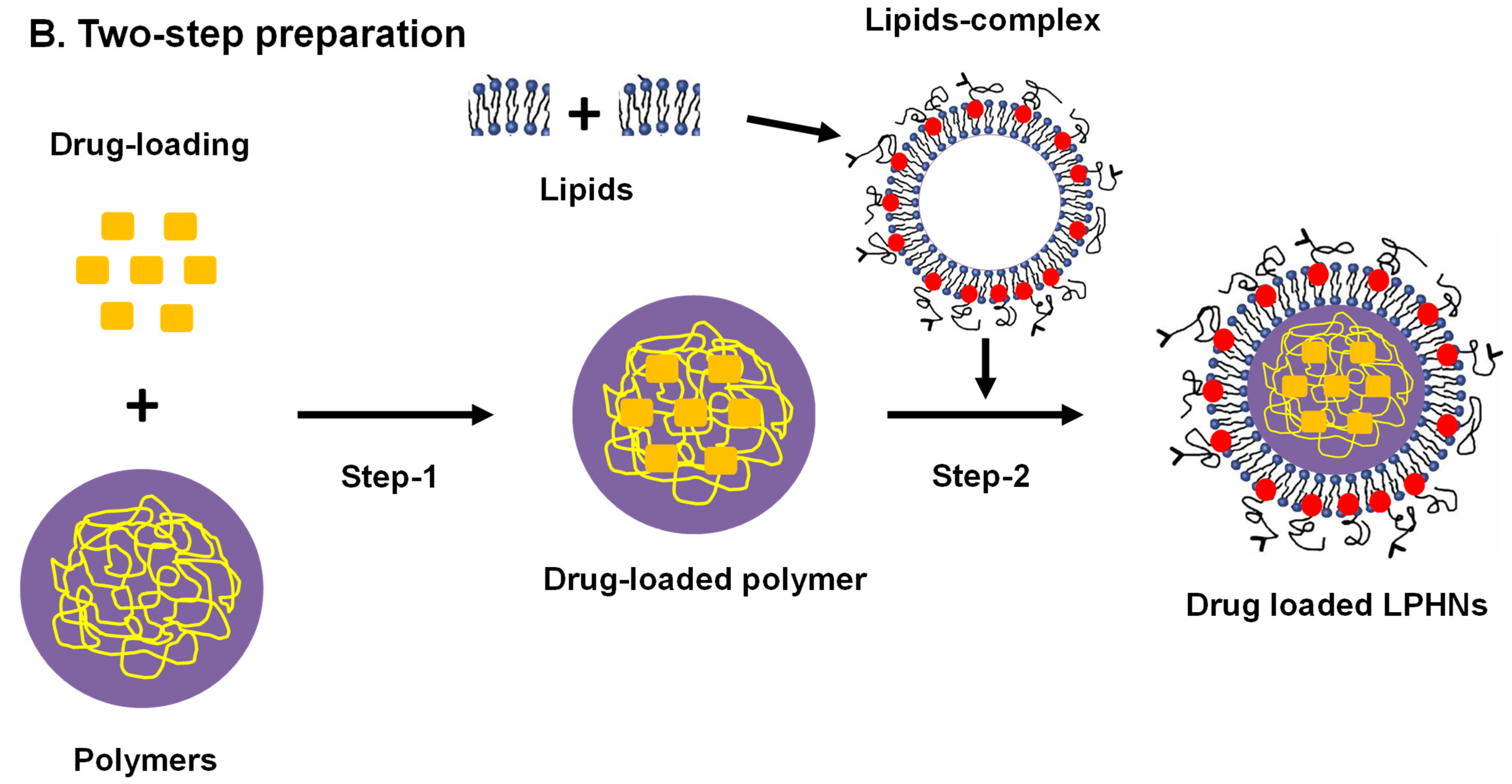 Pharmaceutics 17 00381 g002b