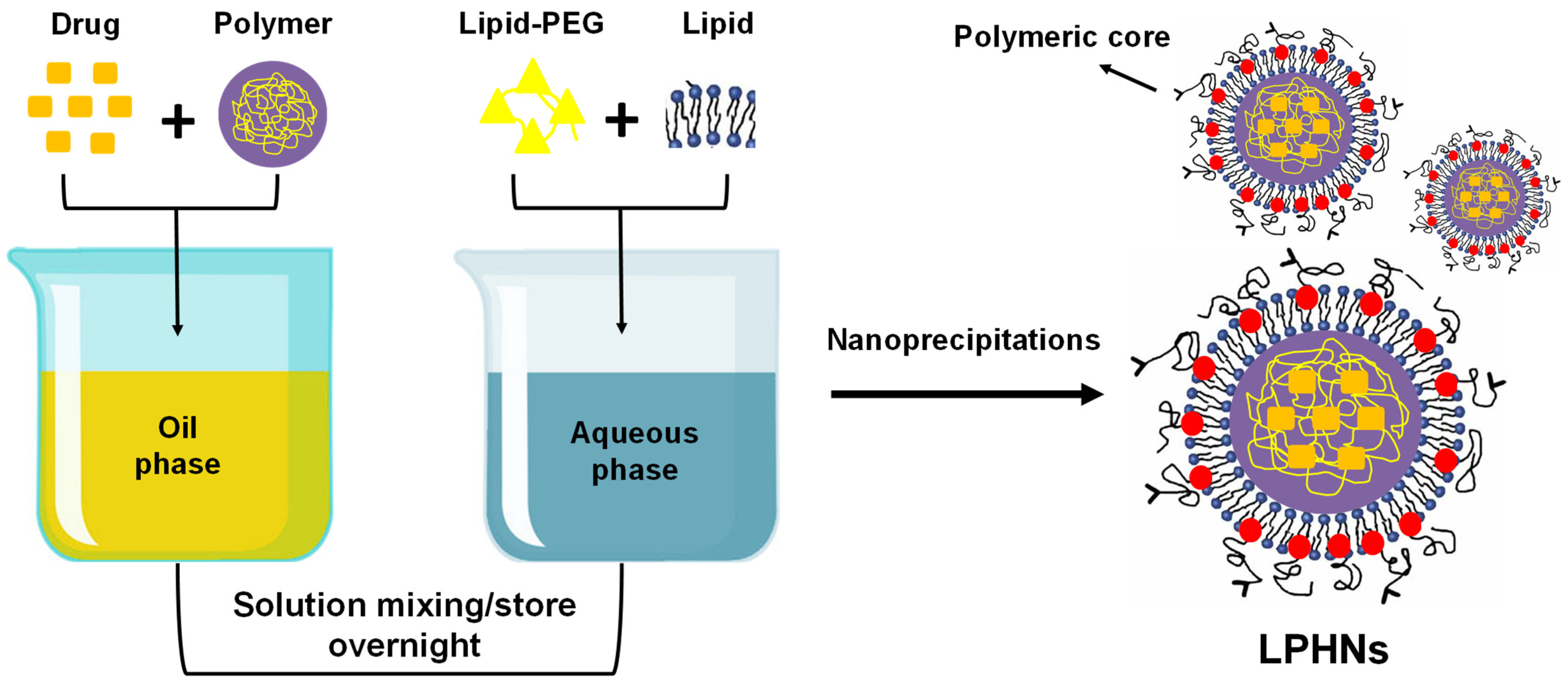 Pharmaceutics 17 00381 g003