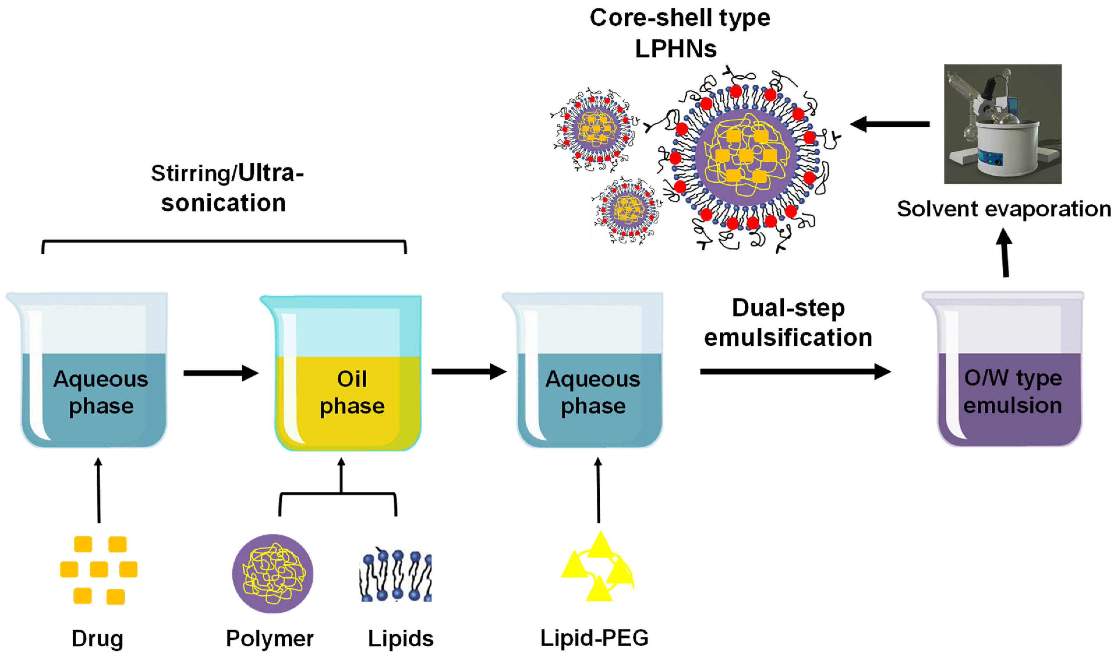 Pharmaceutics 17 00381 g005