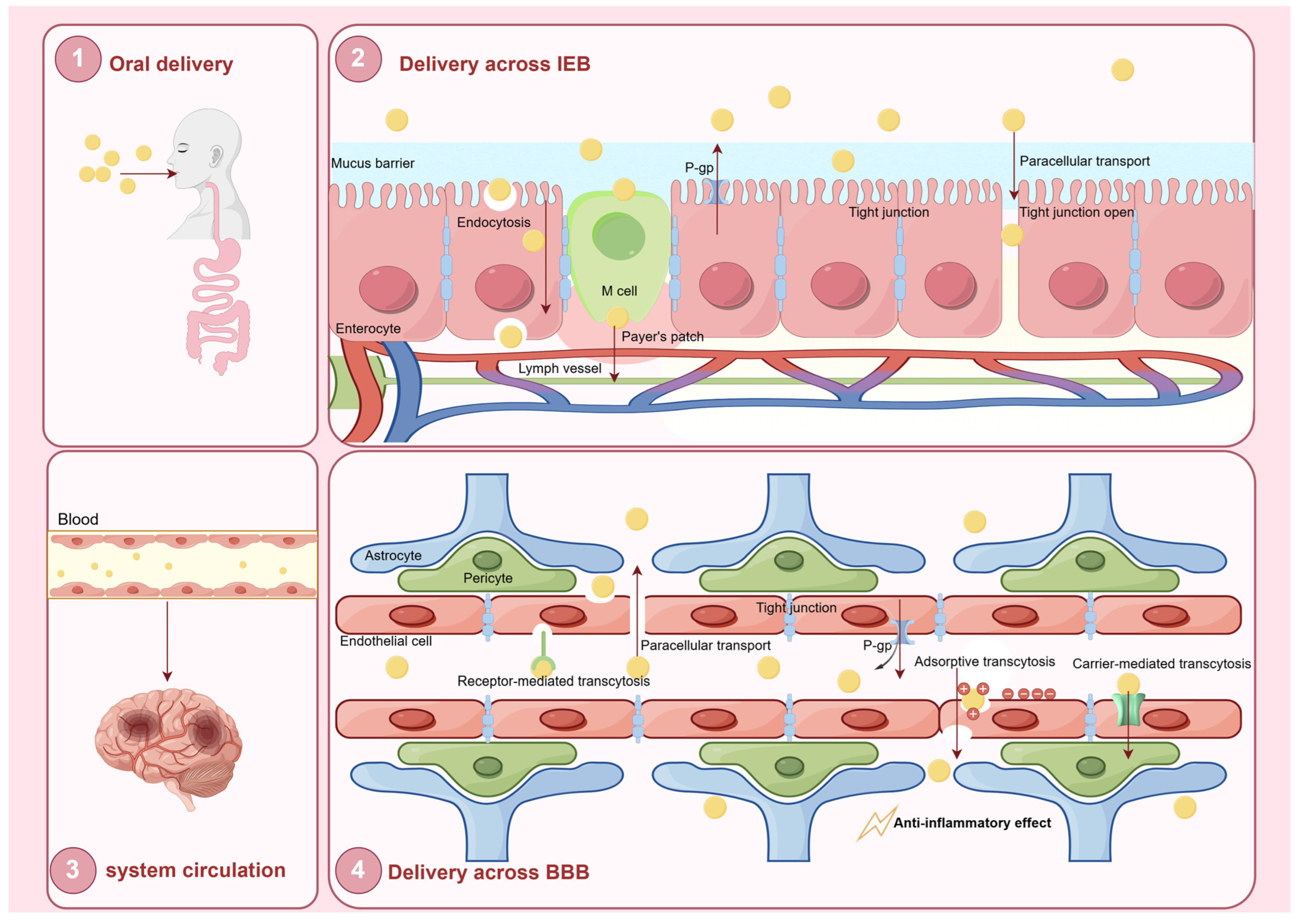 Pharmaceutics 17 00388 g004