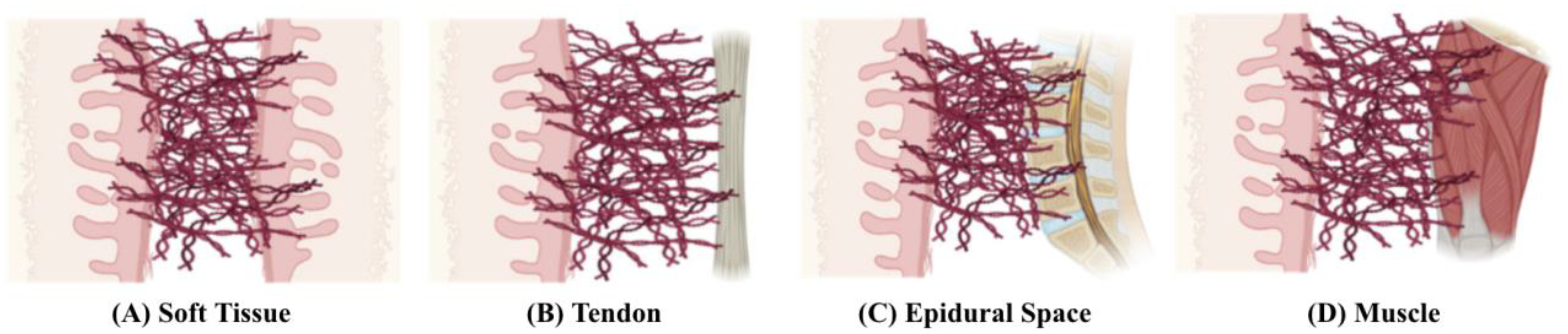 Pharmaceutics 17 00389 g001