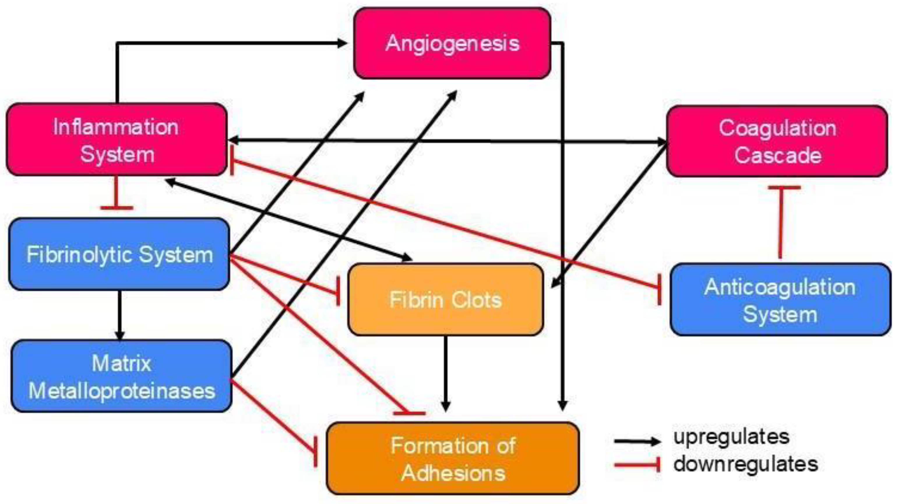 Pharmaceutics 17 00389 g002