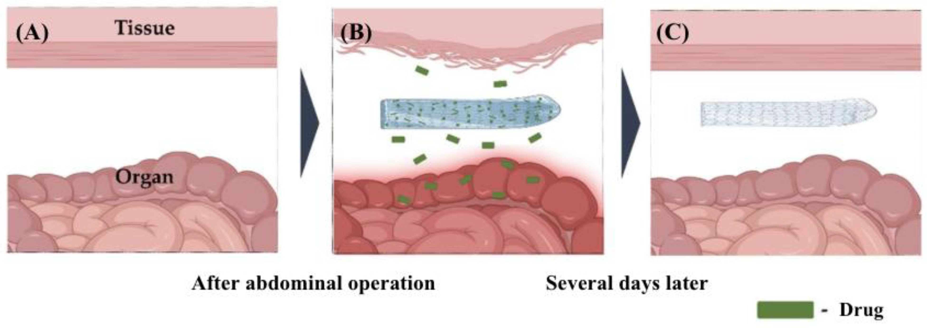 Pharmaceutics 17 00389 g004