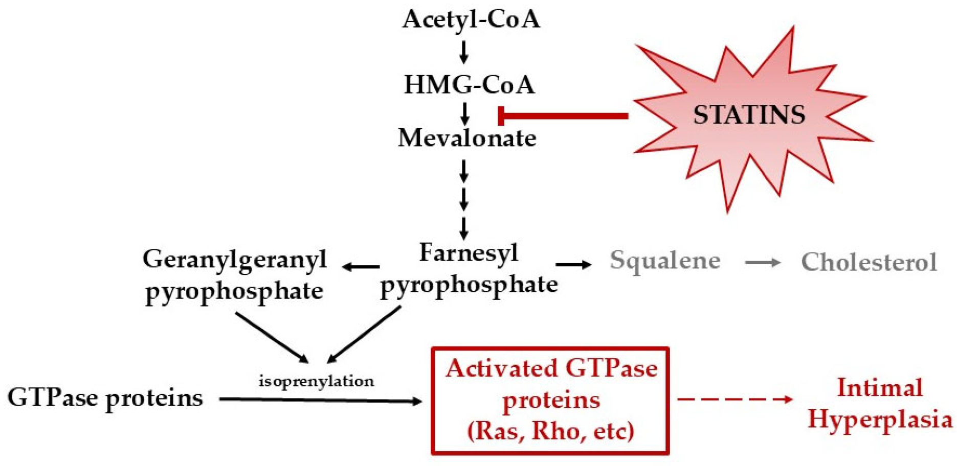 Pharmaceutics 17 00391 g001