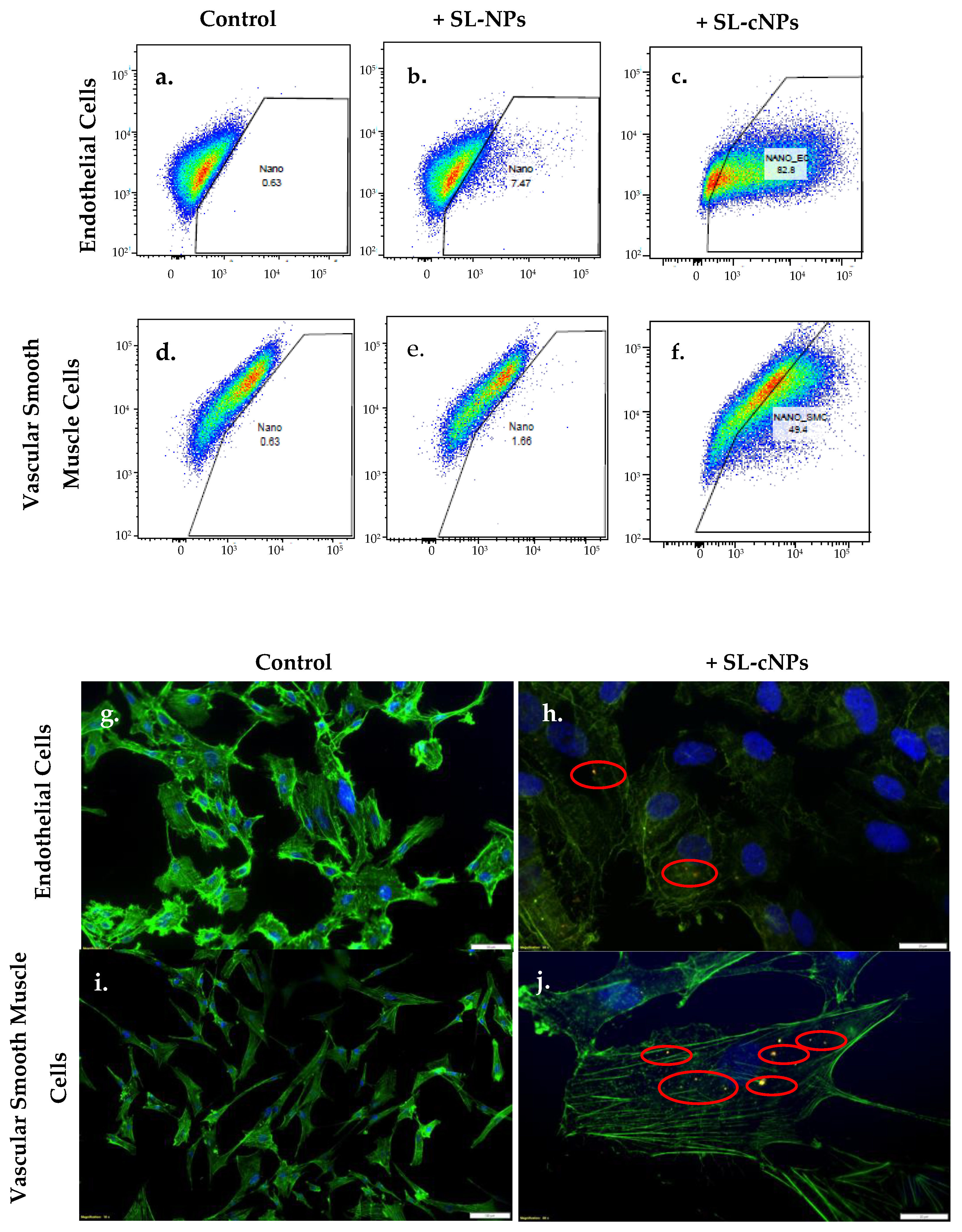 Pharmaceutics 17 00391 g003