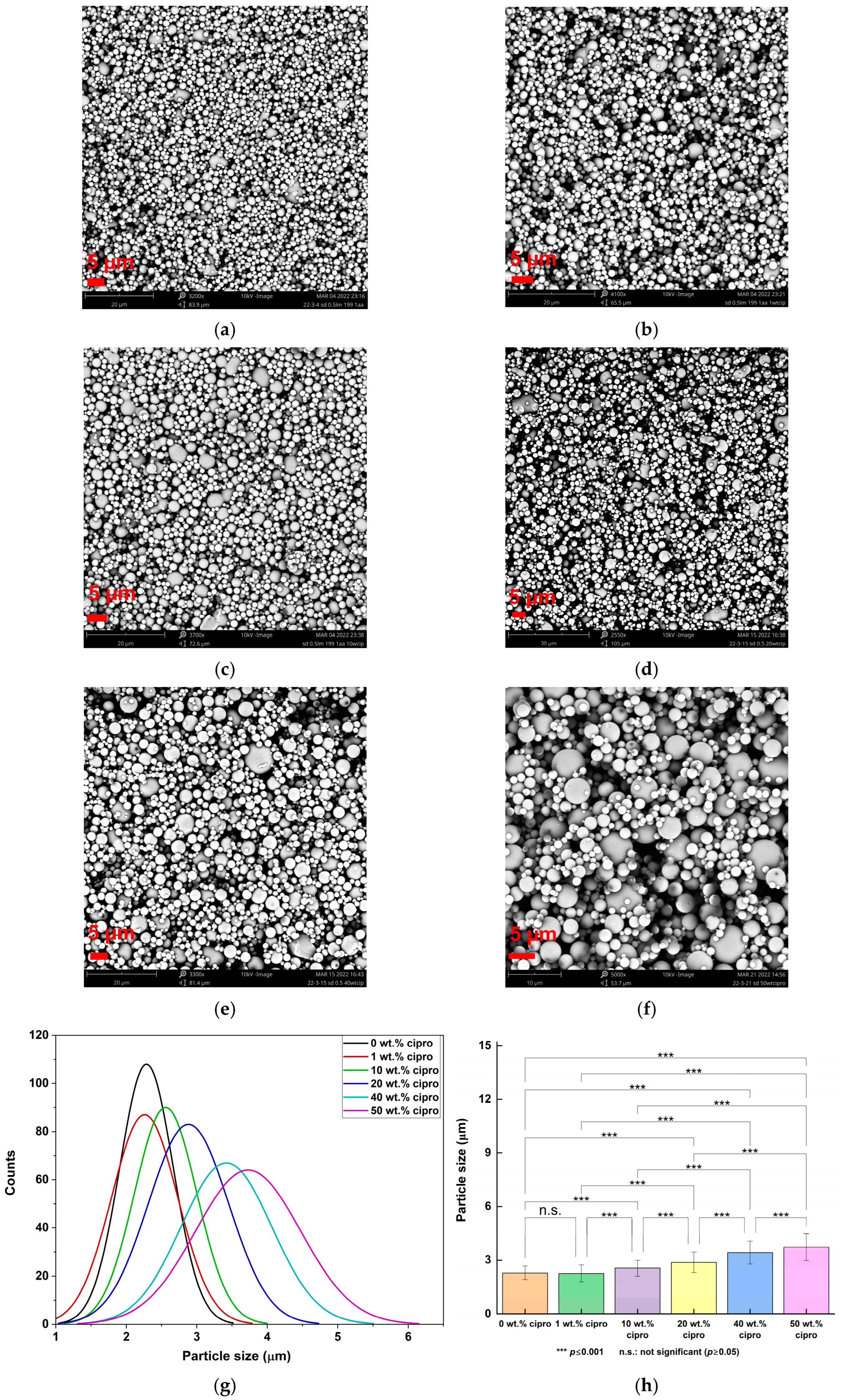 Pharmaceutics 17 00392 g002