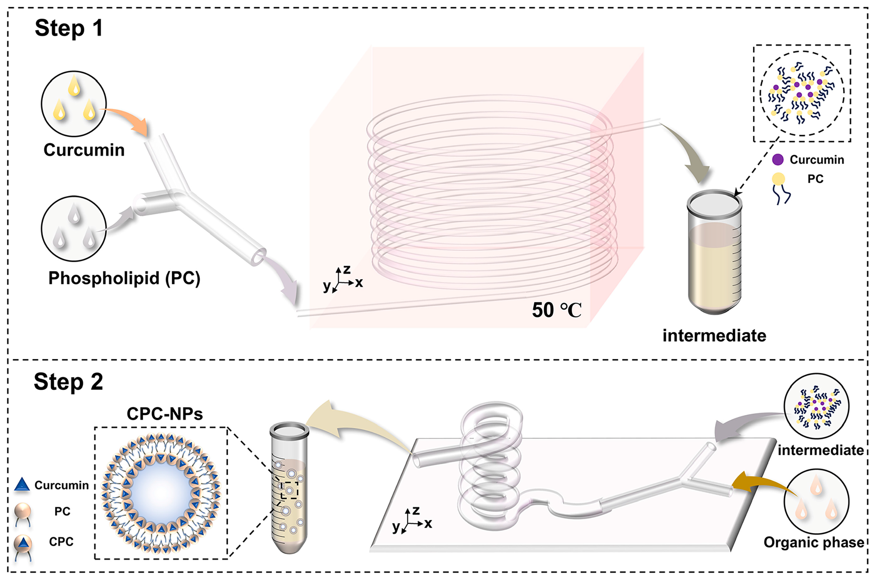 Pharmaceutics 17 00395 g001