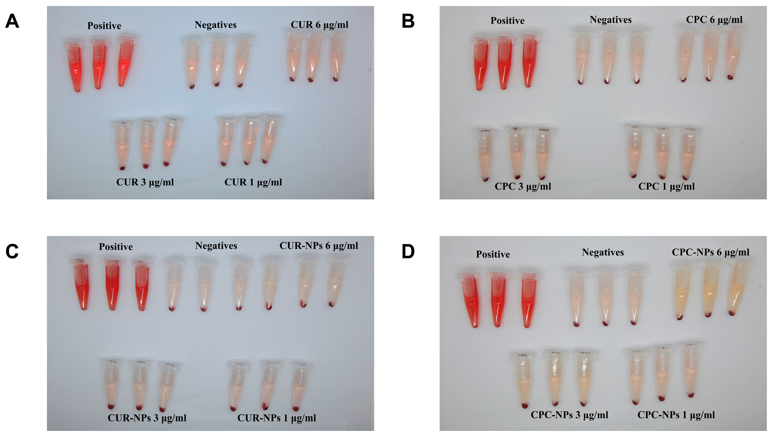Pharmaceutics 17 00395 g007