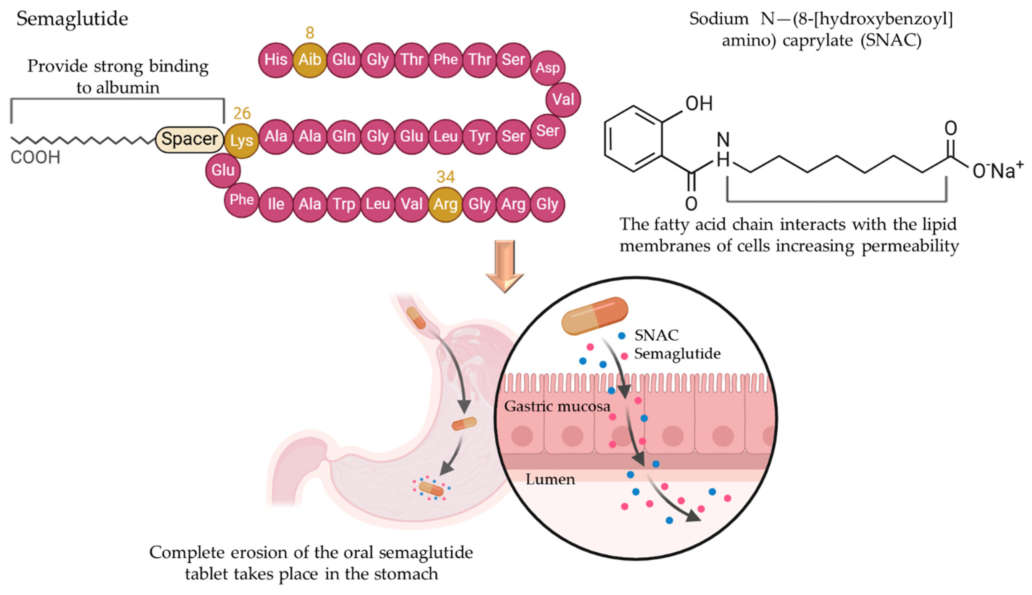Pharmaceutics 17 00397 g004