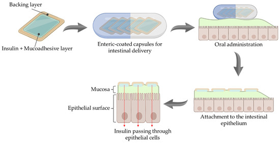 Barriers and Strategies for Oral Peptide and Protein Therapeutics Delivery: Update on Clinical Advances