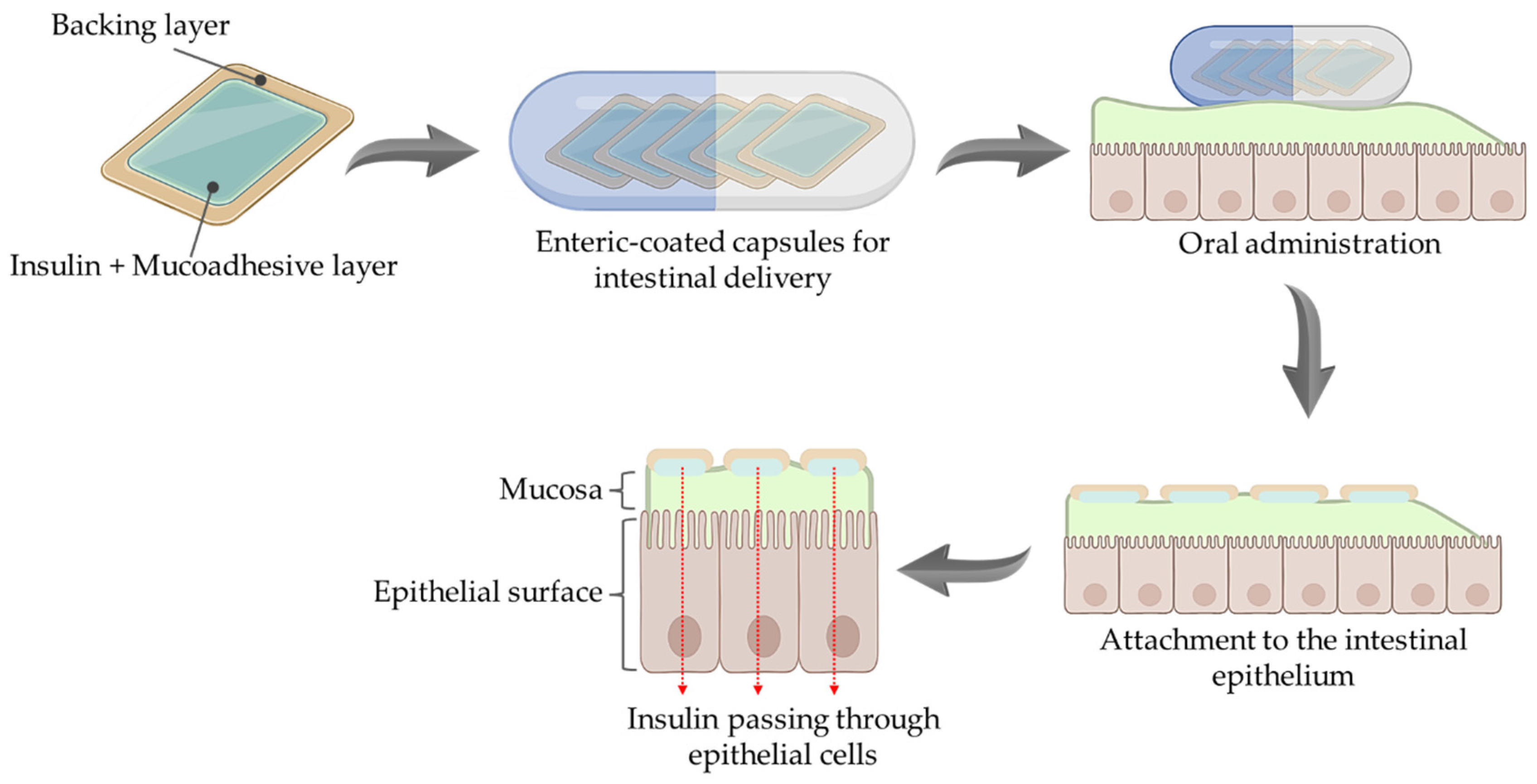 Pharmaceutics 17 00397 g006
