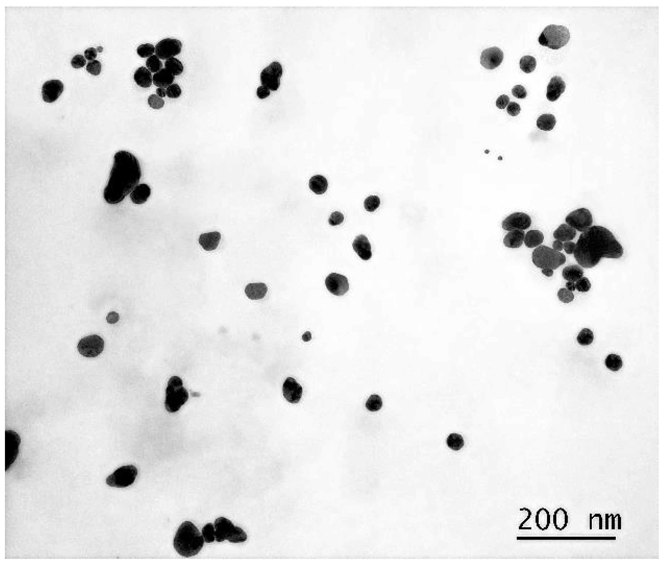 Pharmaceutics 17 00398 g002